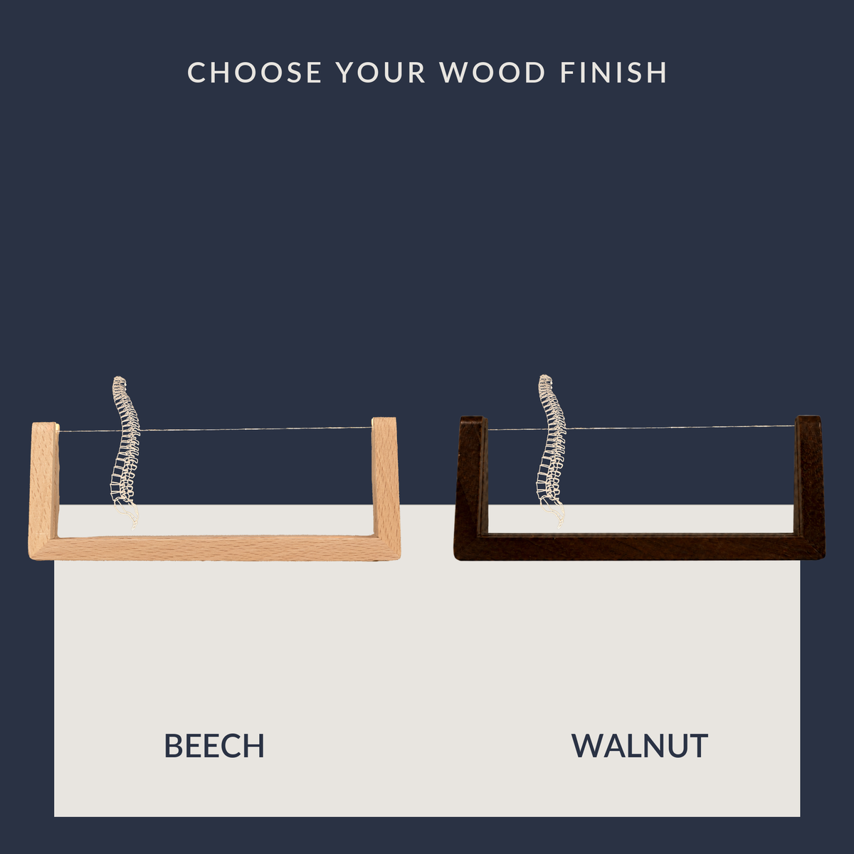Wood base options for the Chiropractor Spine LED nameplate