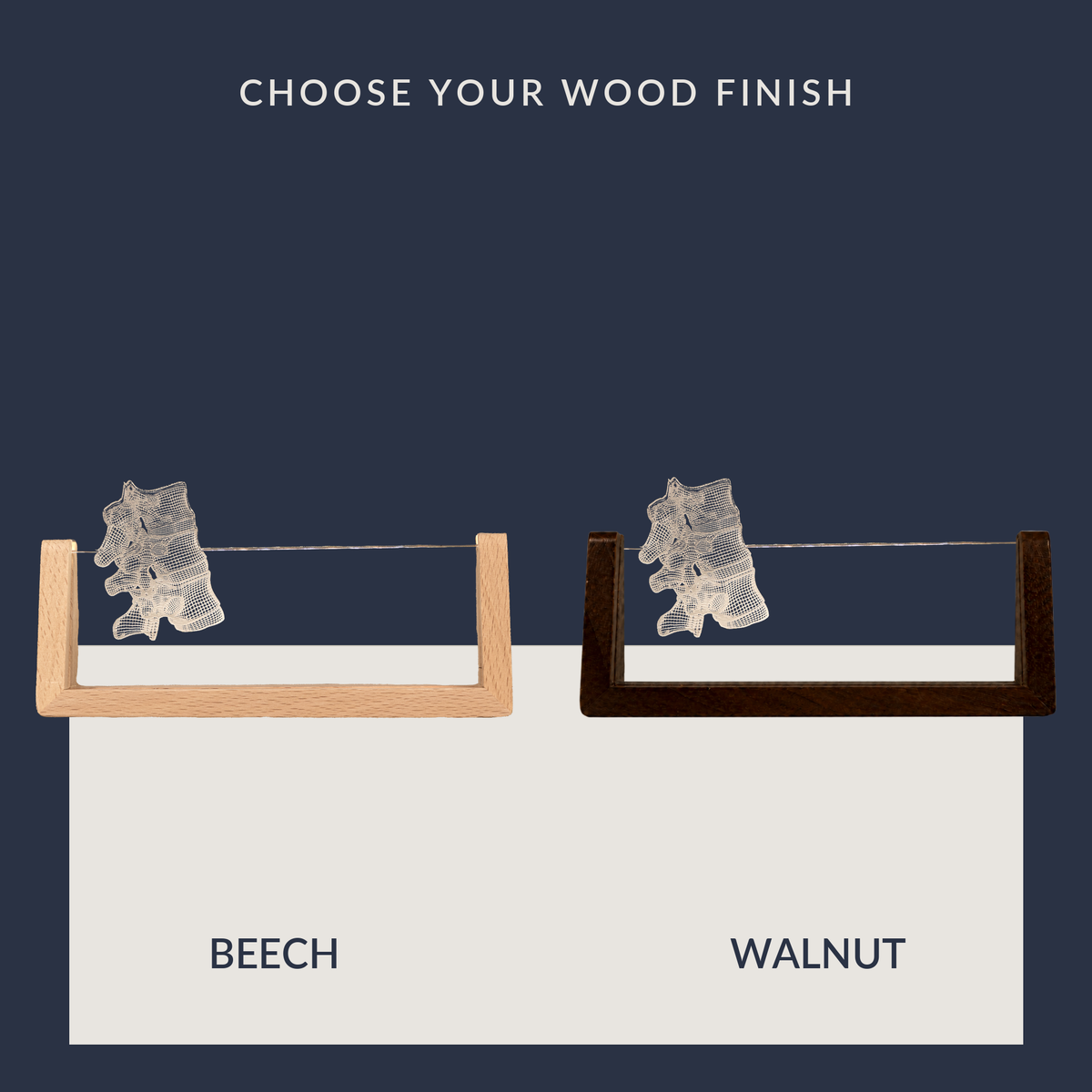 Wood base options for the Orthopedic Vertebral LED nameplate