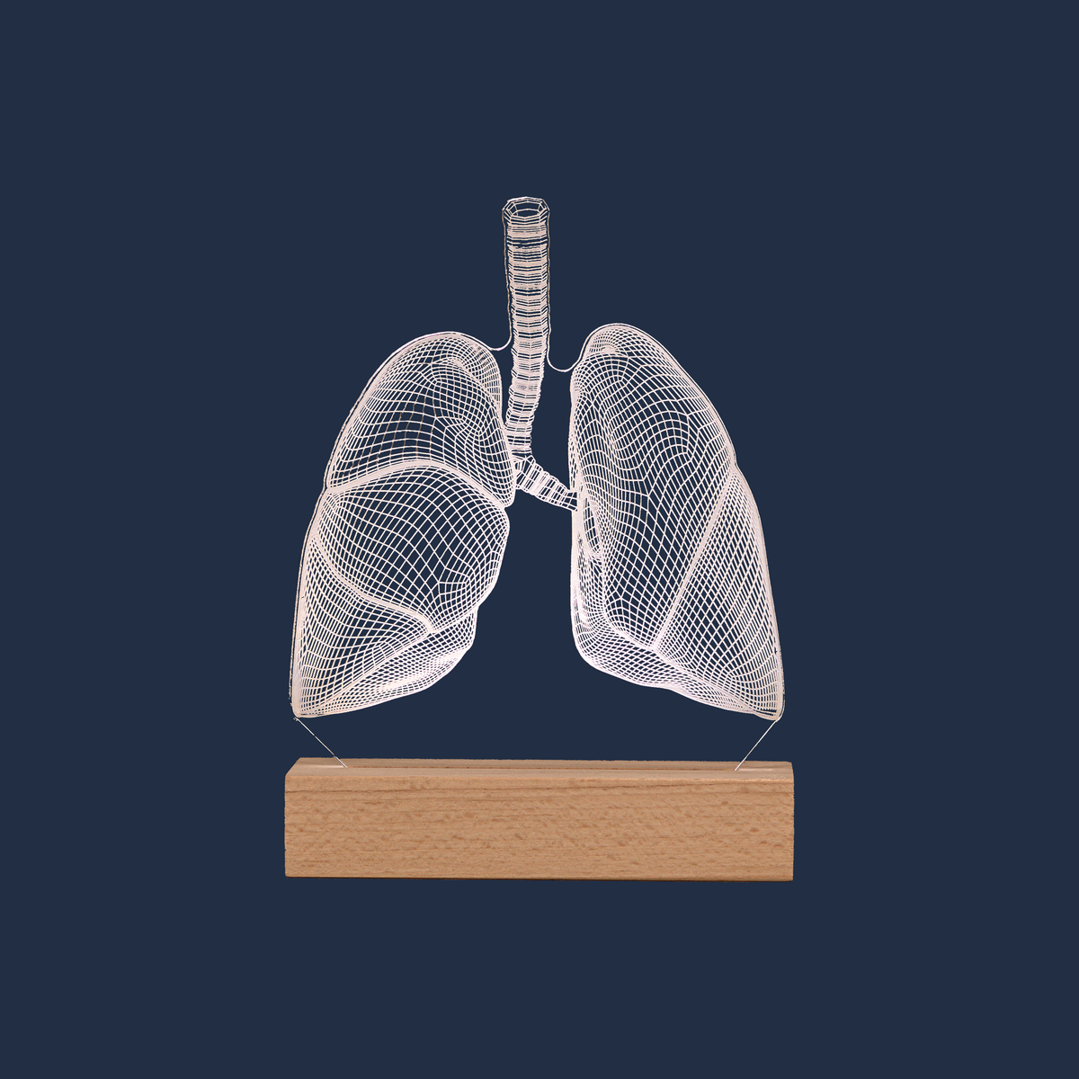 Lungs LED lamp on a plain background