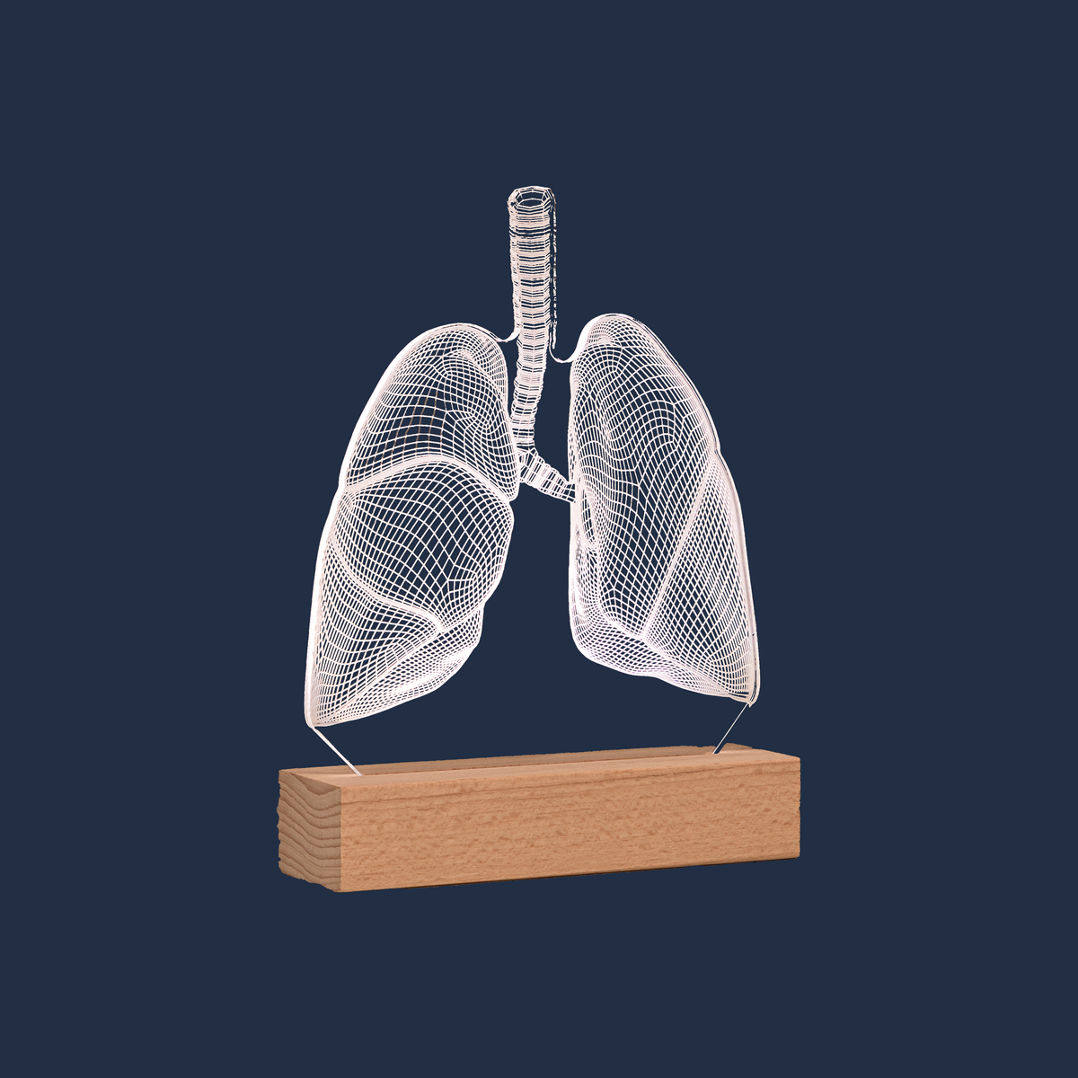 Side profile view of the Lungs LED lamp