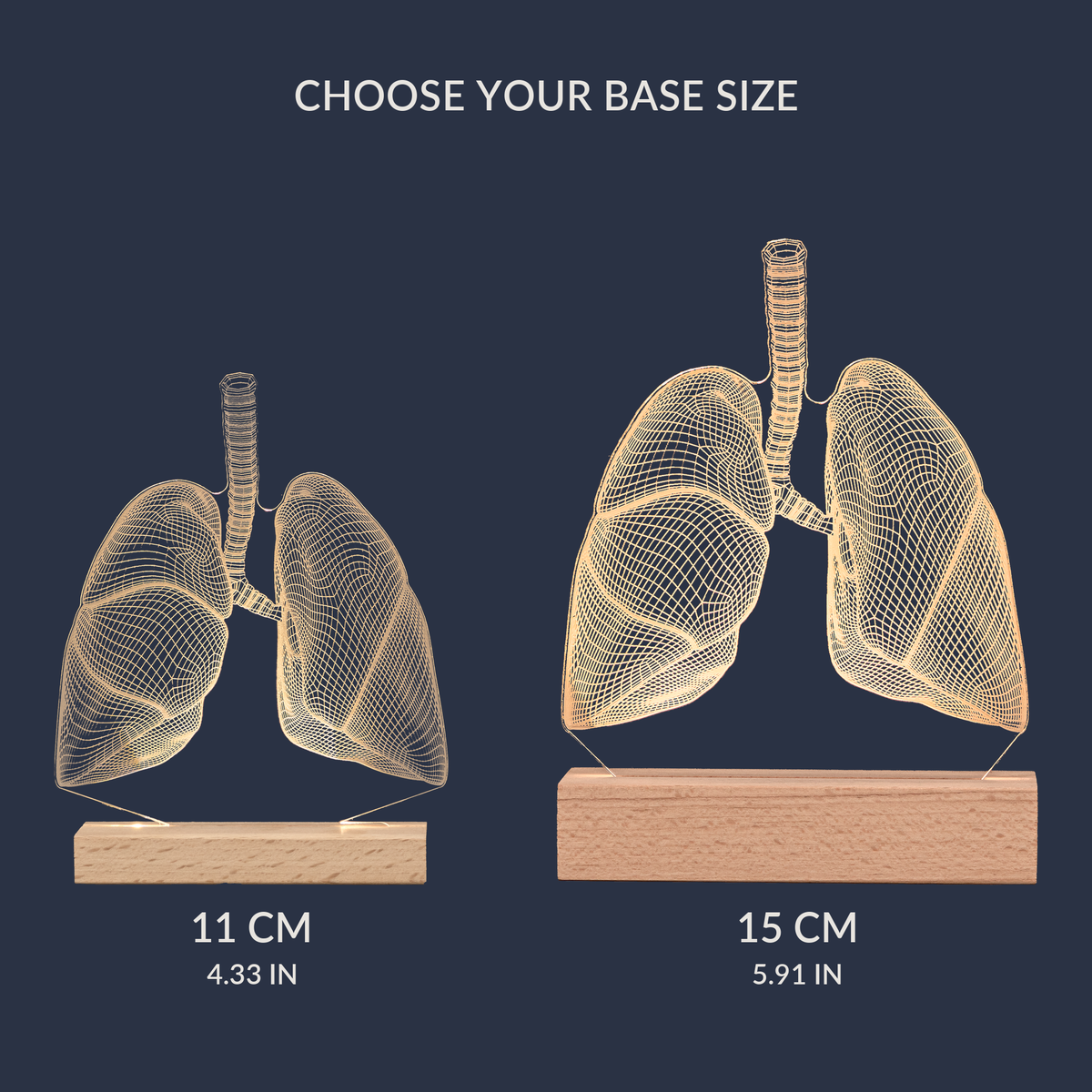 Size comparison chart for the Lungs LED lamp