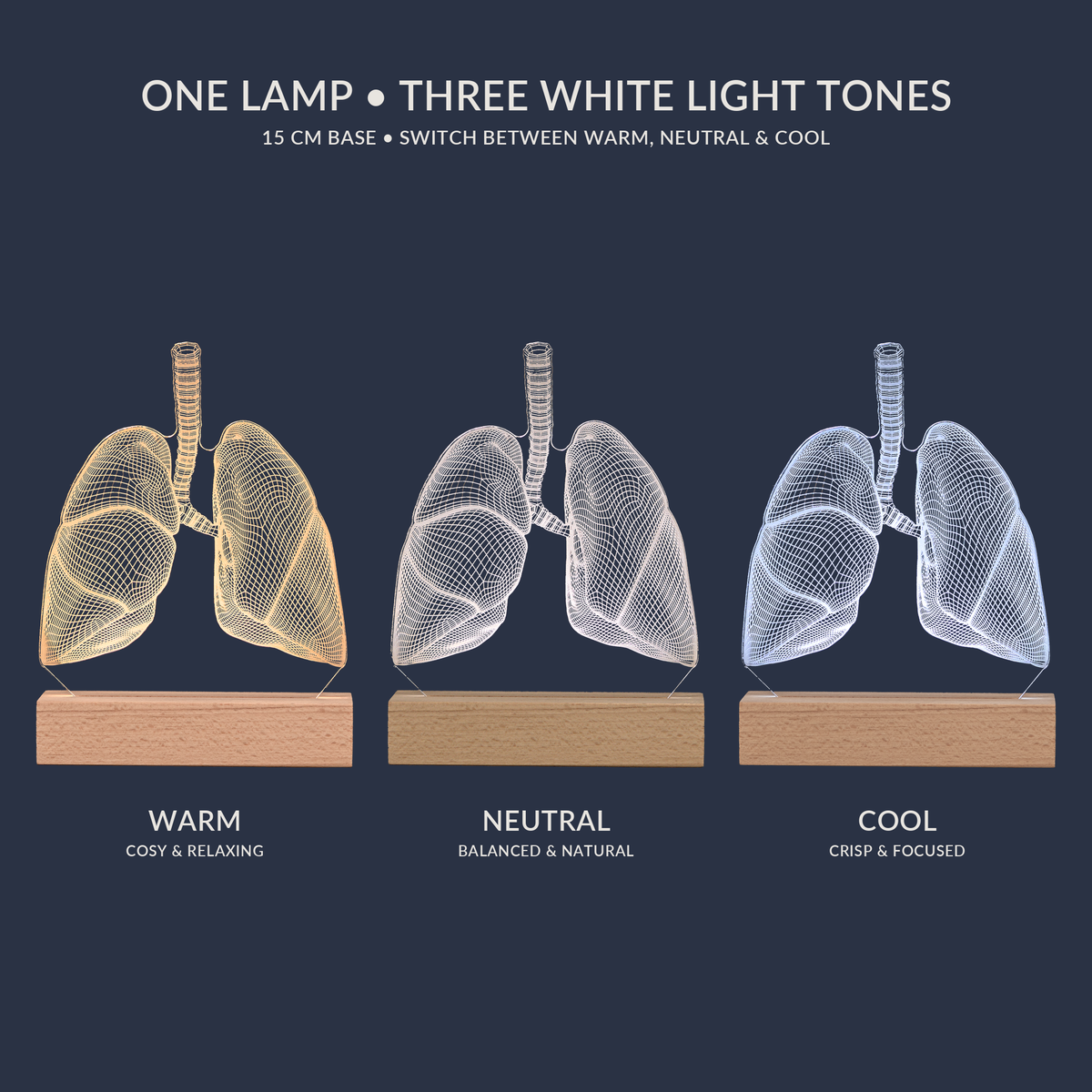 White light tone options for the Lungs LED lamp