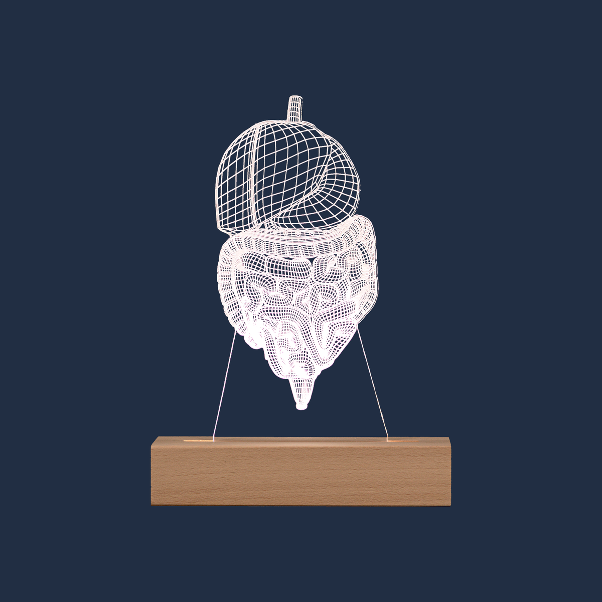 Digestive System LED lamp on a plain background