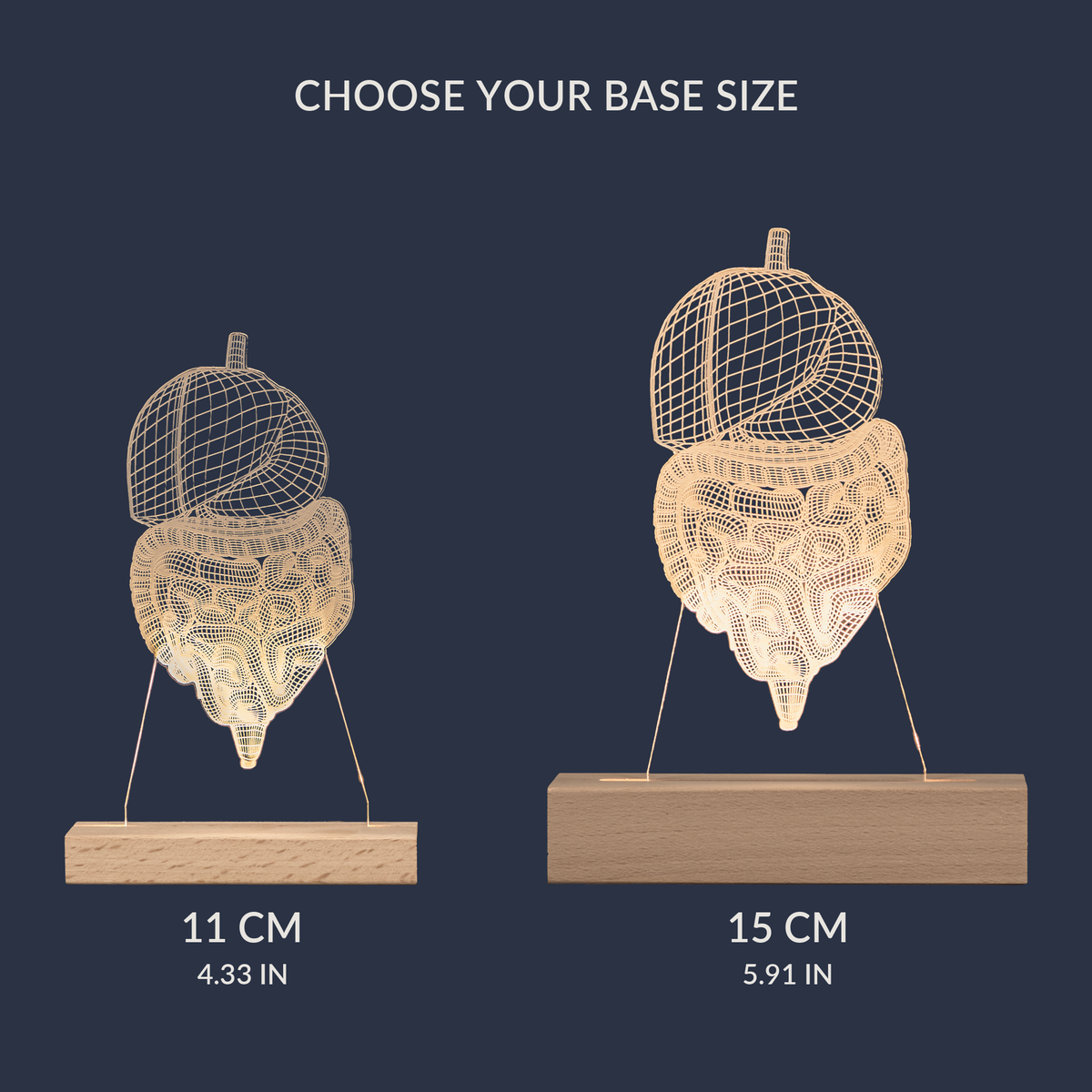Size comparison chart for the Digestive System LED lamp