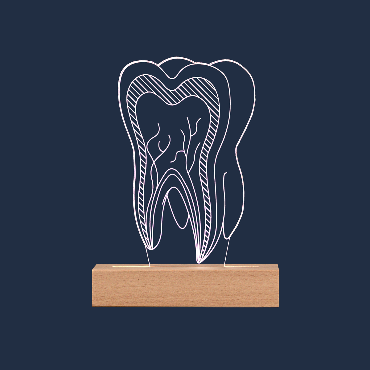 Dentist Tooth LED lamp on a plain background