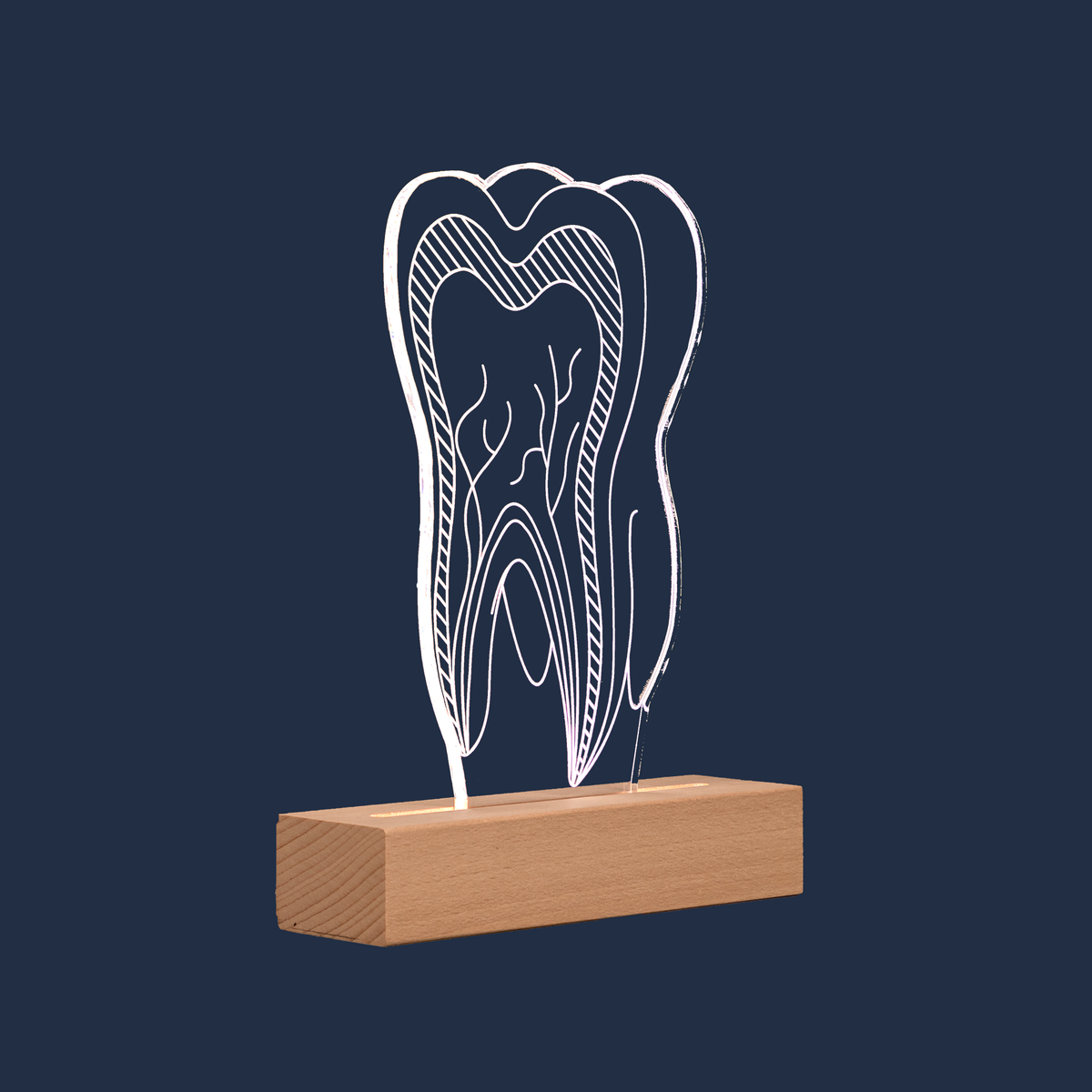 Side profile view of the Dentist Tooth LED lamp