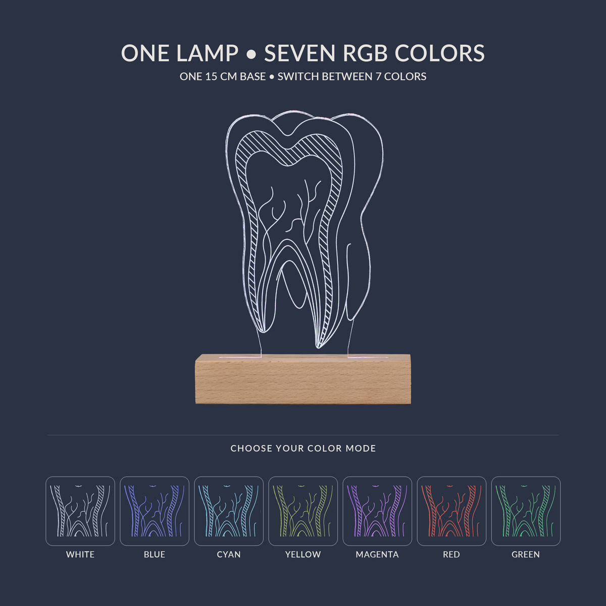 RGB color options for the Dentist Tooth LED lamp