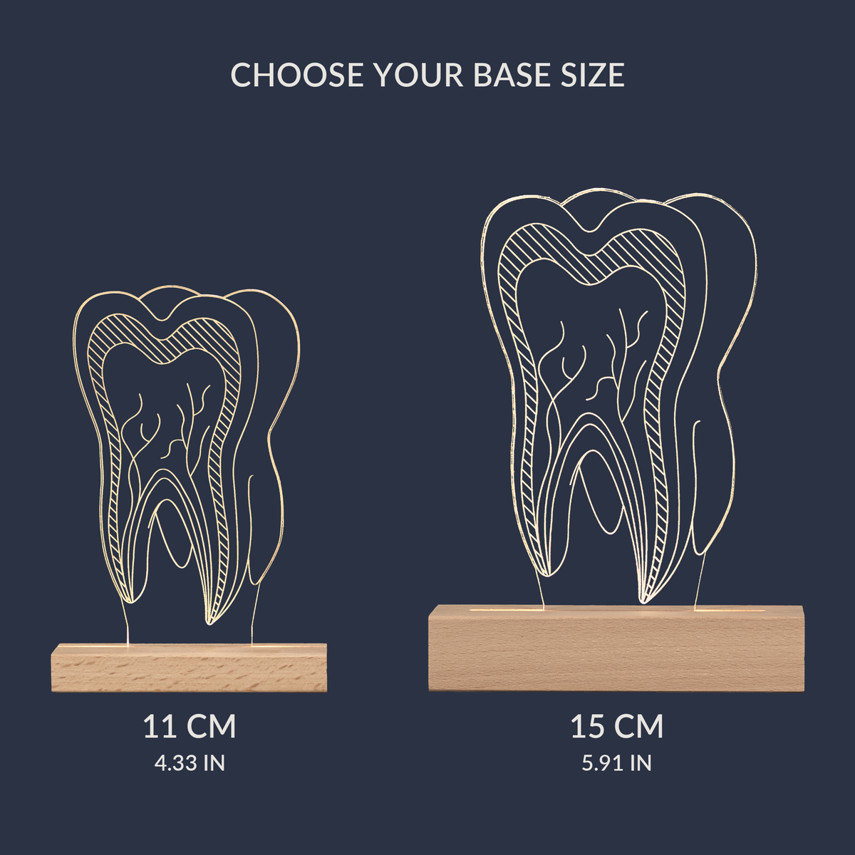 Size comparison chart for the Dentist Tooth LED lamp