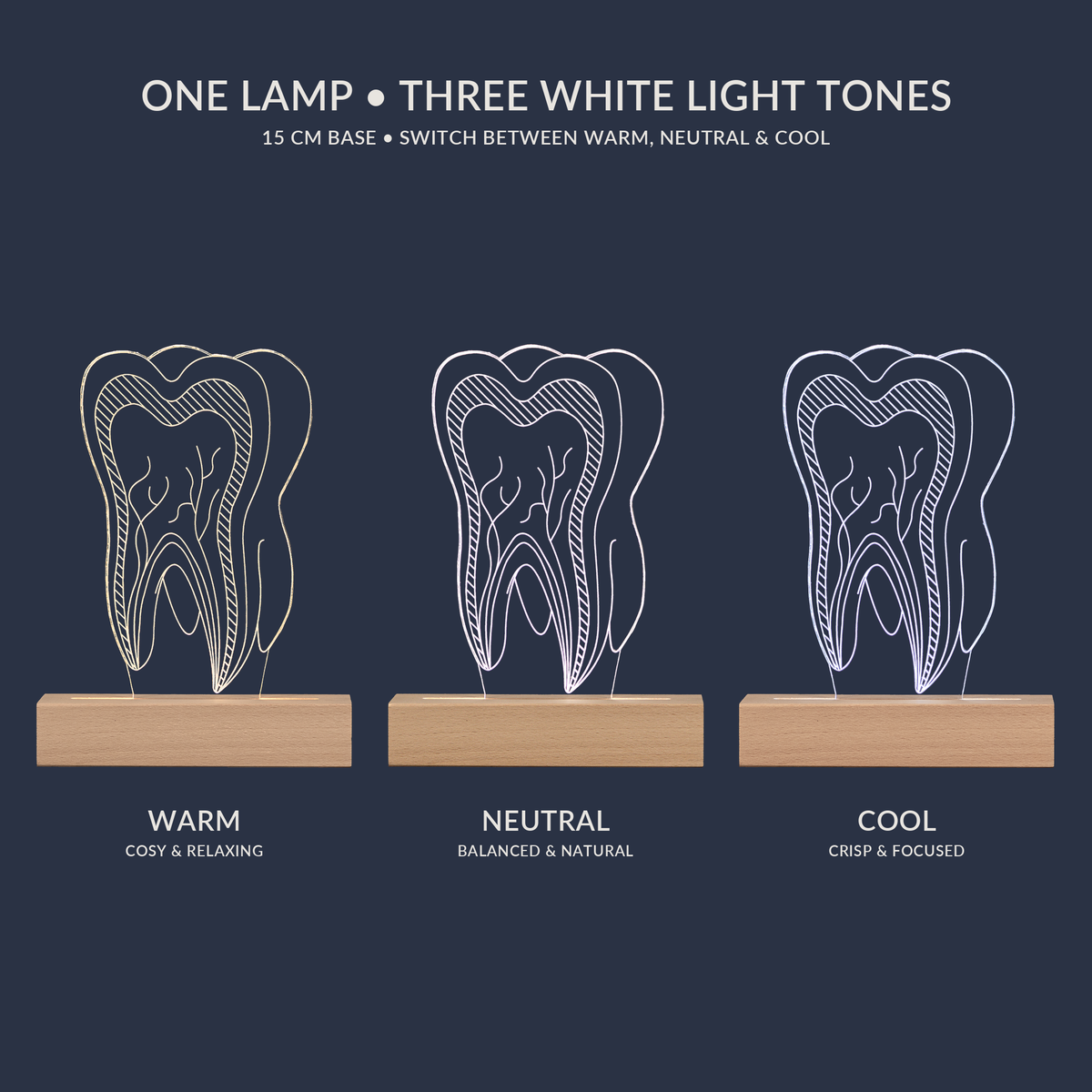 White light tone options for the Dentist Tooth LED lamp