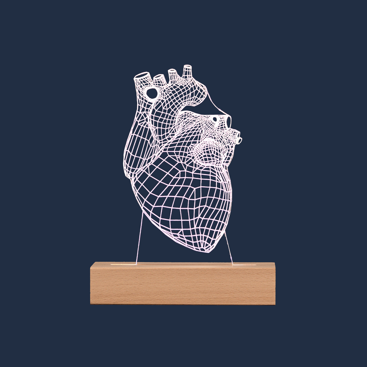 Human Heart LED lamp on a plain background
