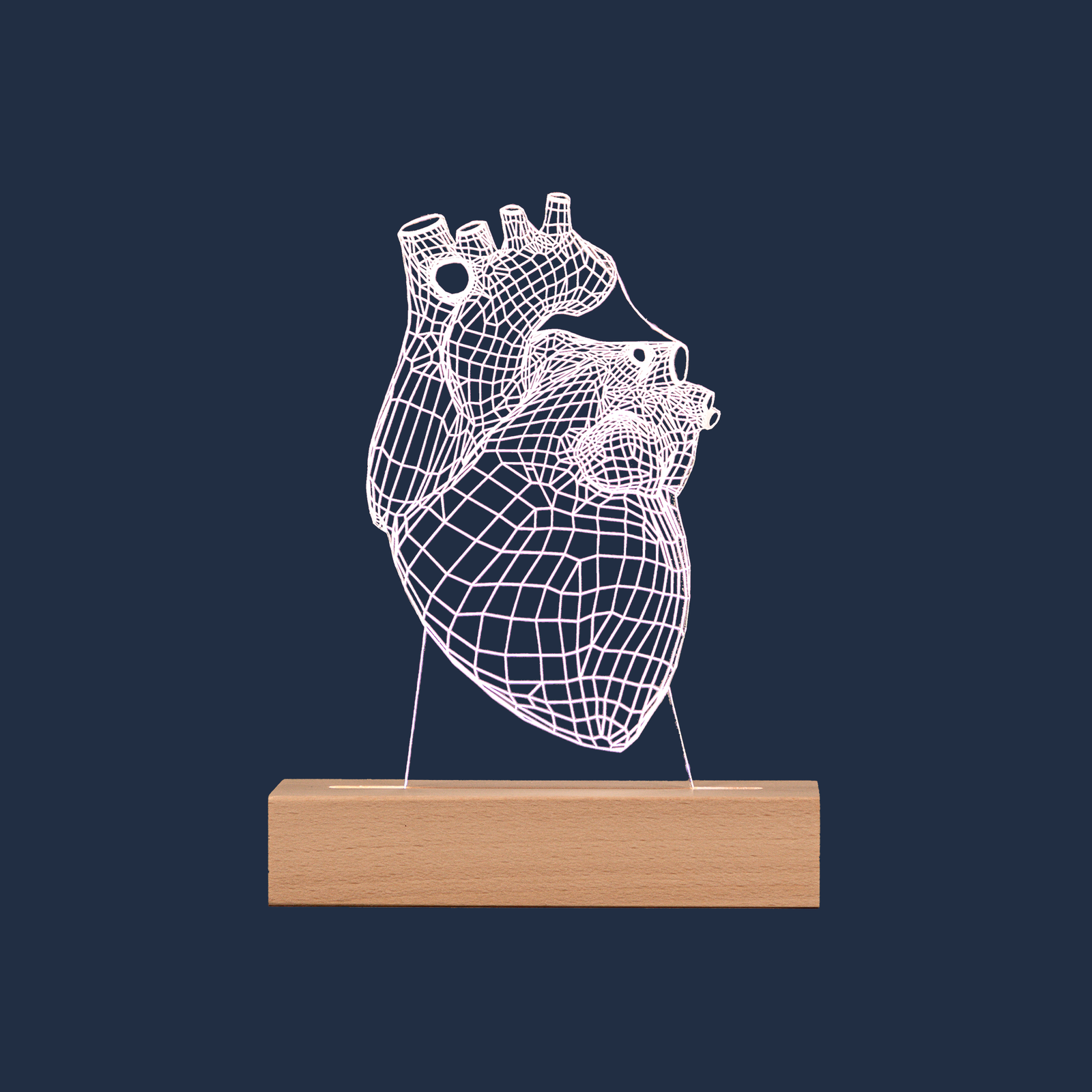 Human Heart LED lamp on a plain background