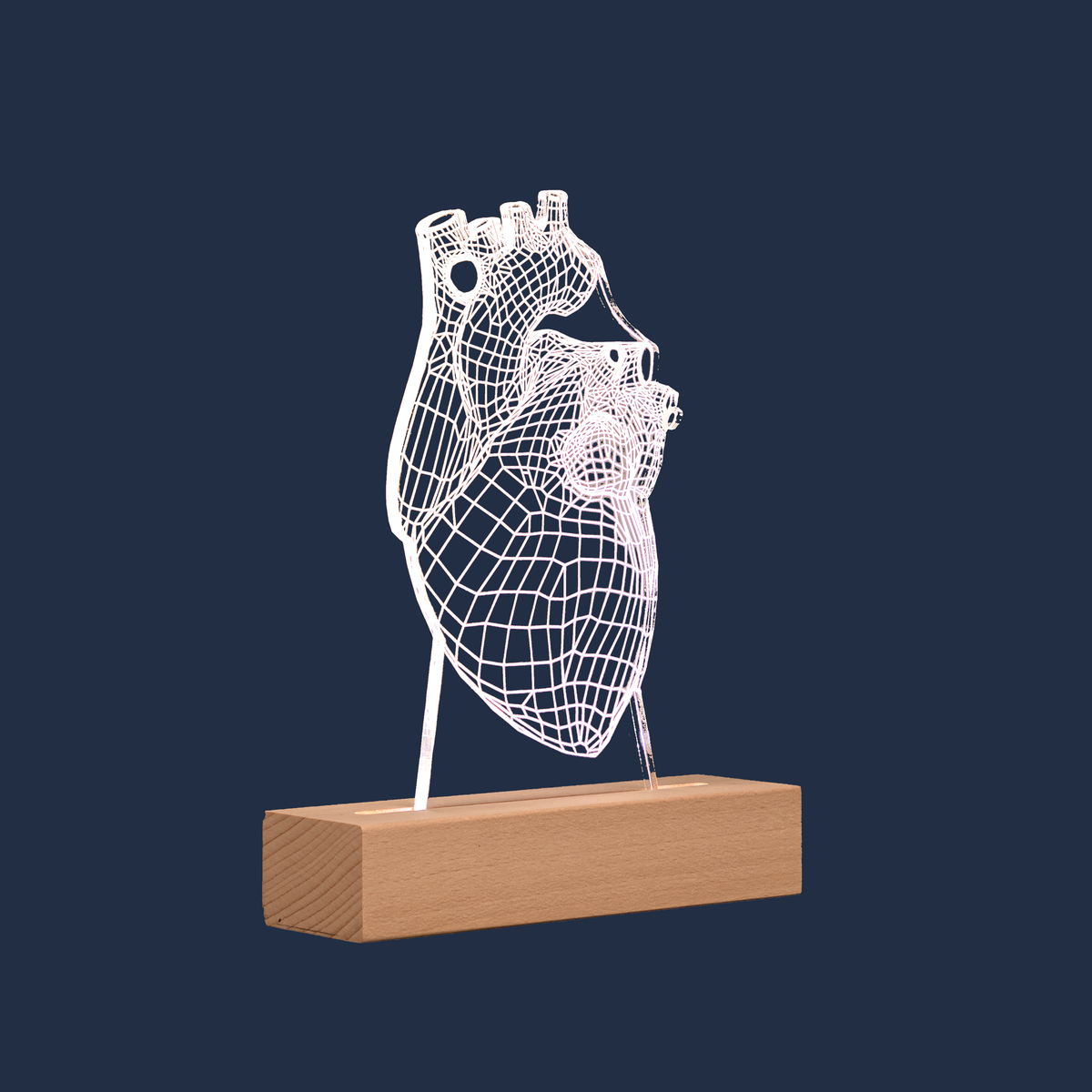 Side profile view of the Human Heart LED lamp