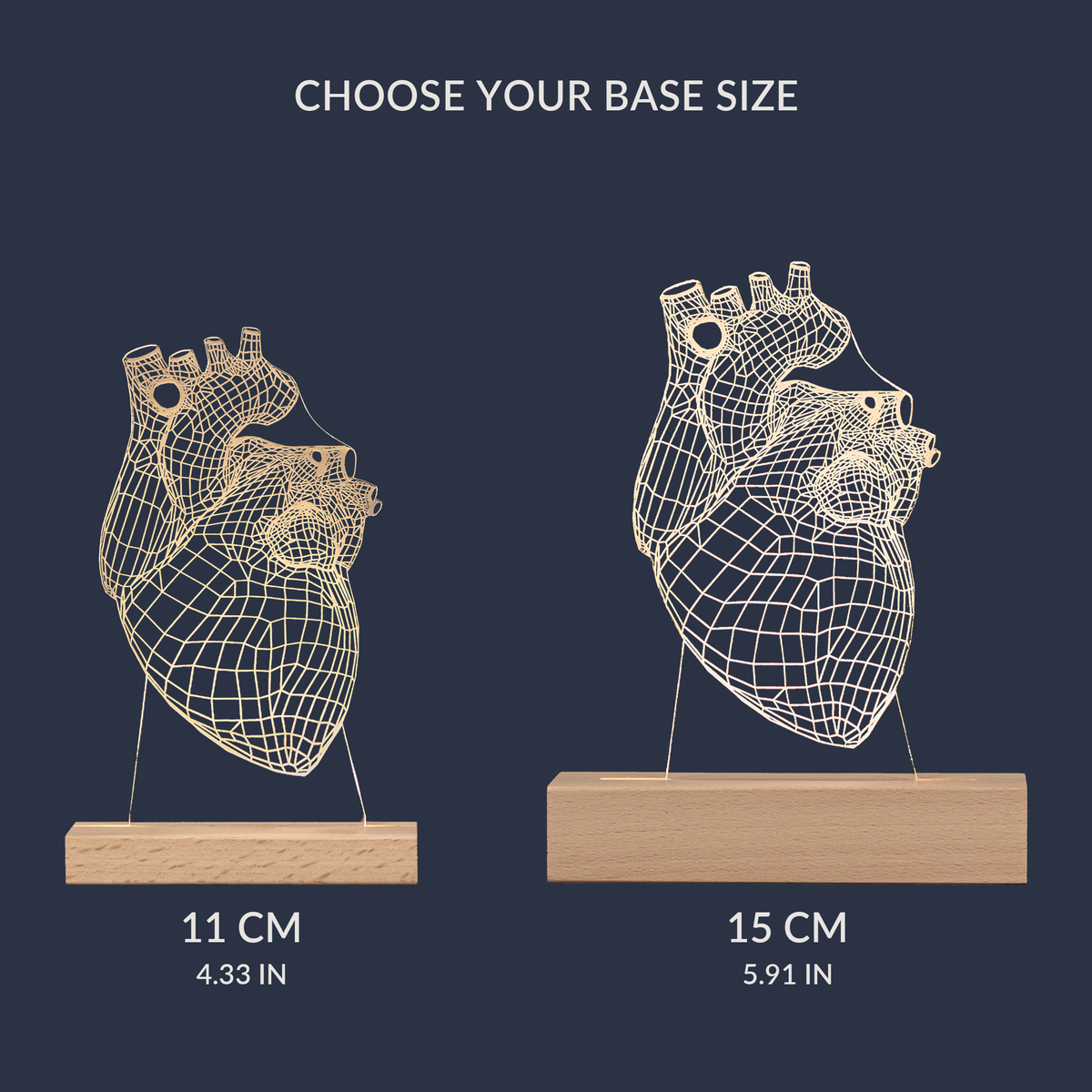Size comparison chart for the Human Heart LED lamp