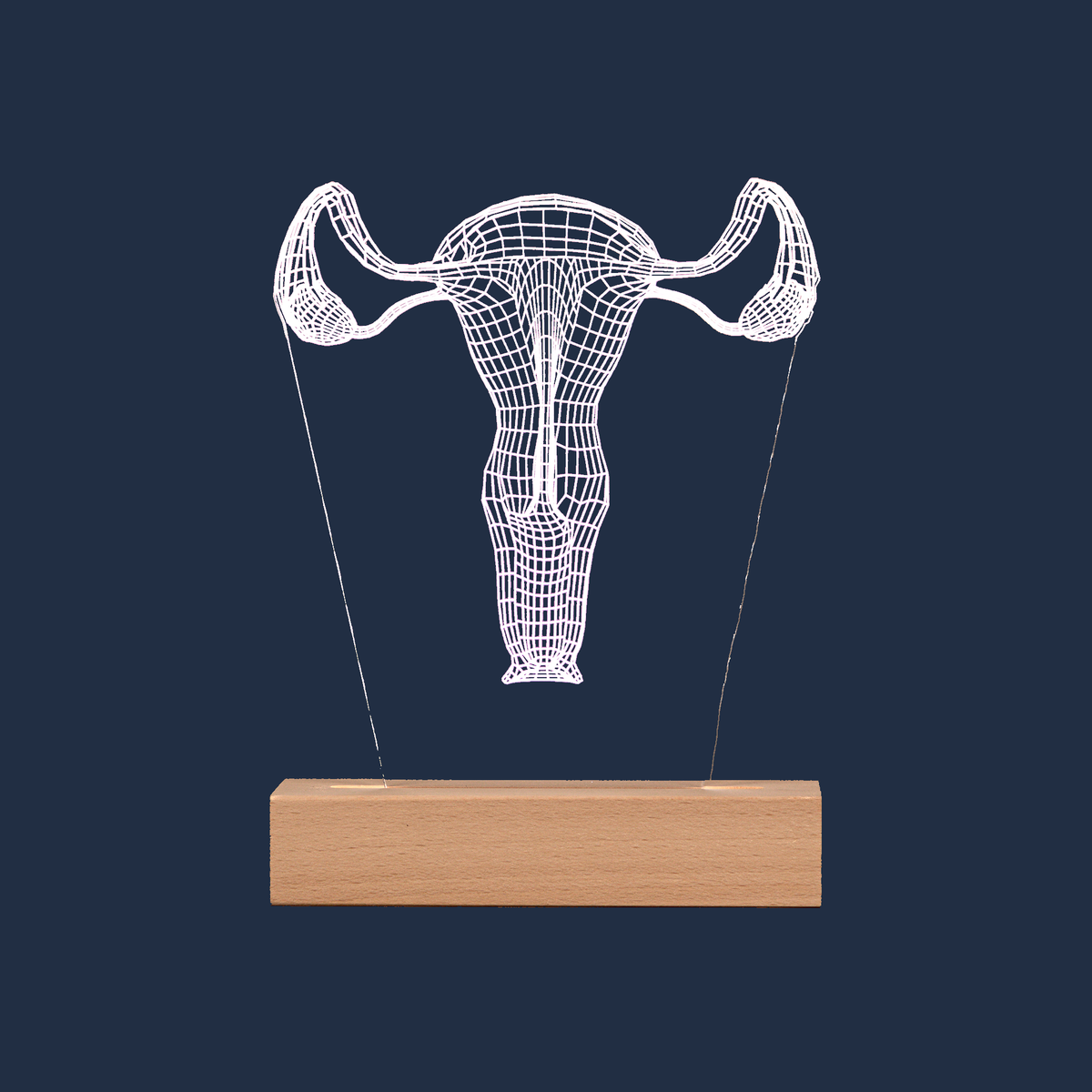 Reproductive System LED lamp on a plain background