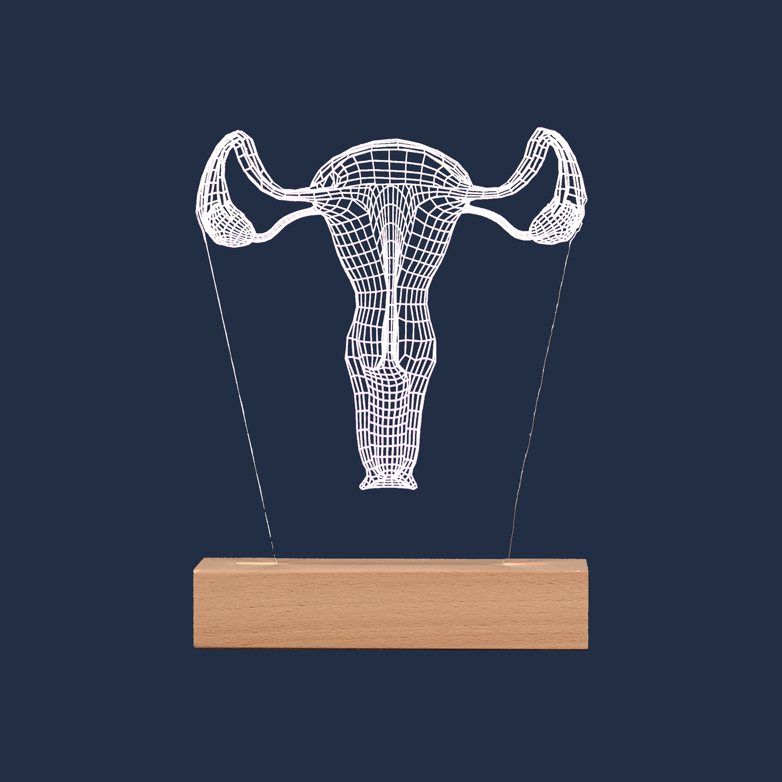 Lampada LED Sistema Riproduttivo su sfondo neutro