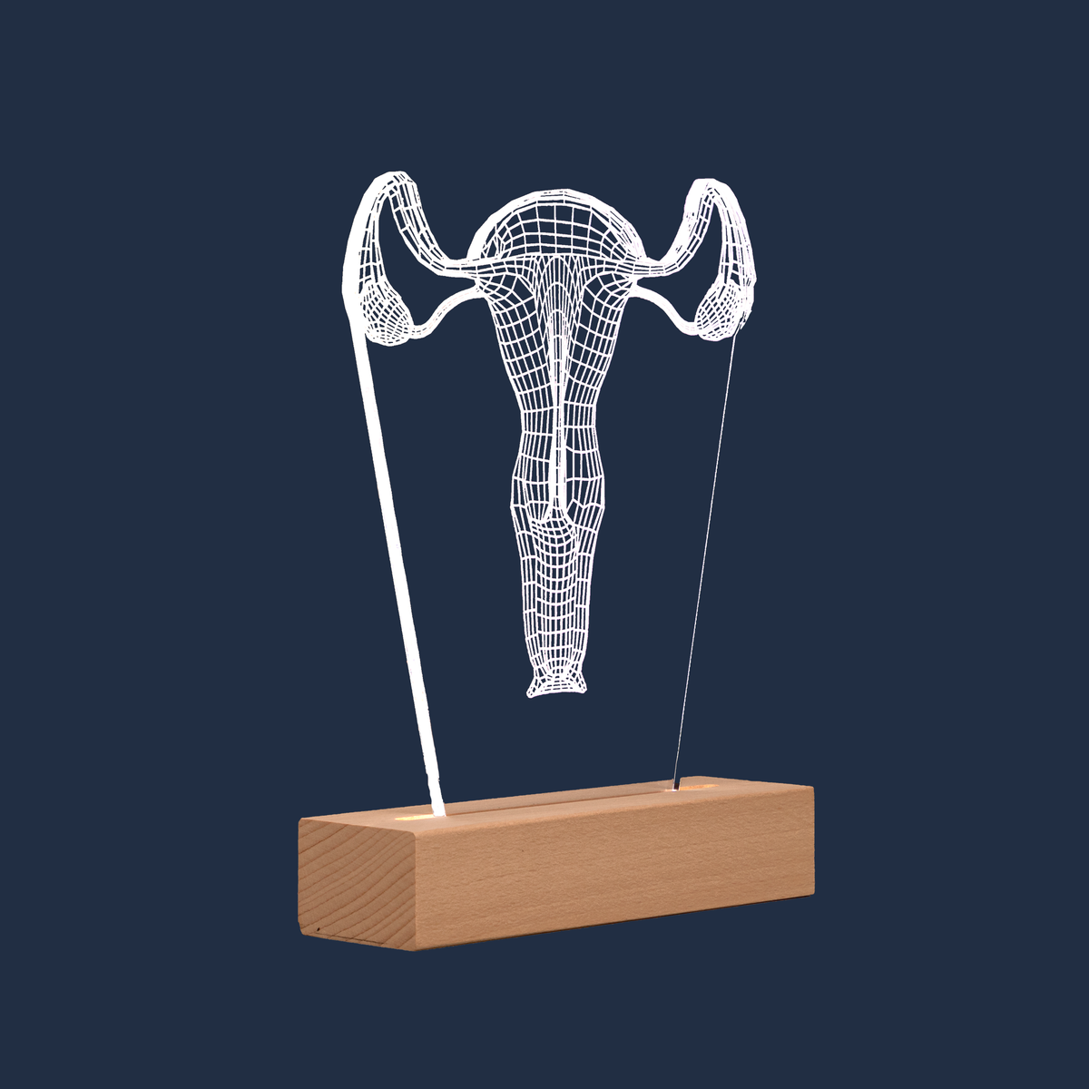 Side profile view of the Reproductive System LED lamp