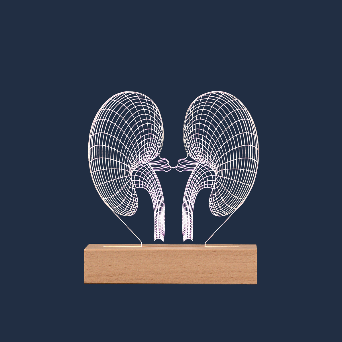 Kidney LED lamp on a plain background