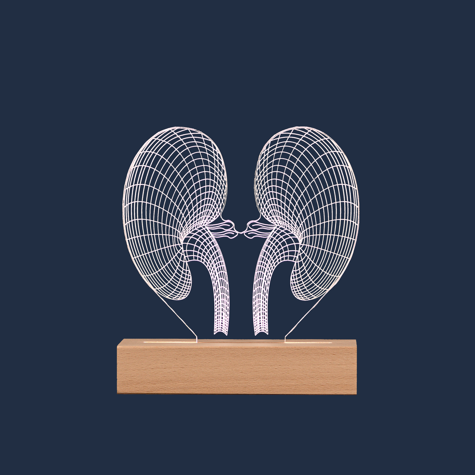 Kidney LED lamp on a plain background