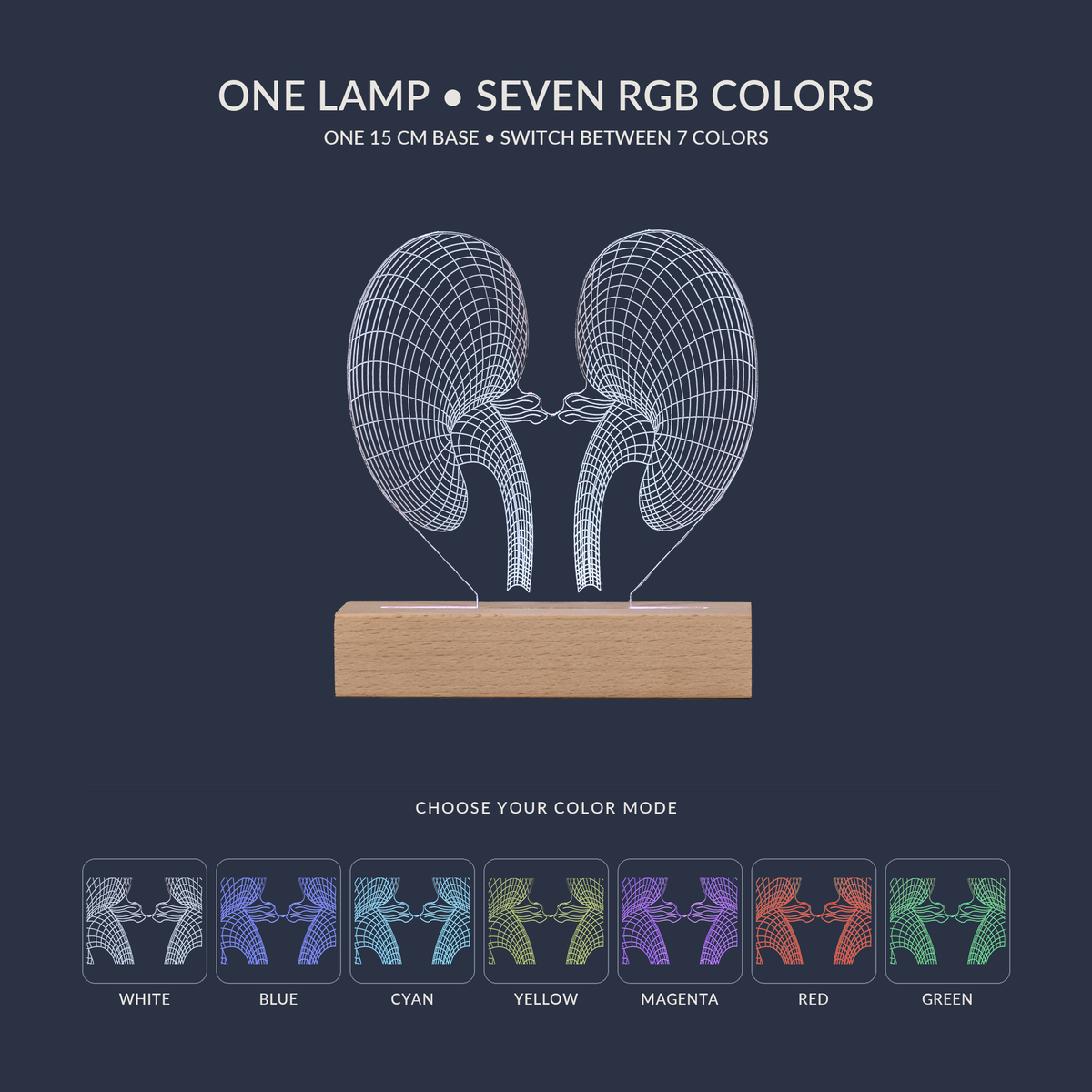 RGB color options for the Kidney LED lamp