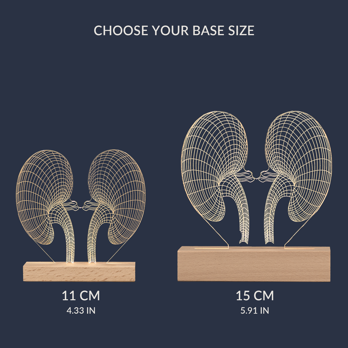 Size comparison chart for the Kidney LED lamp