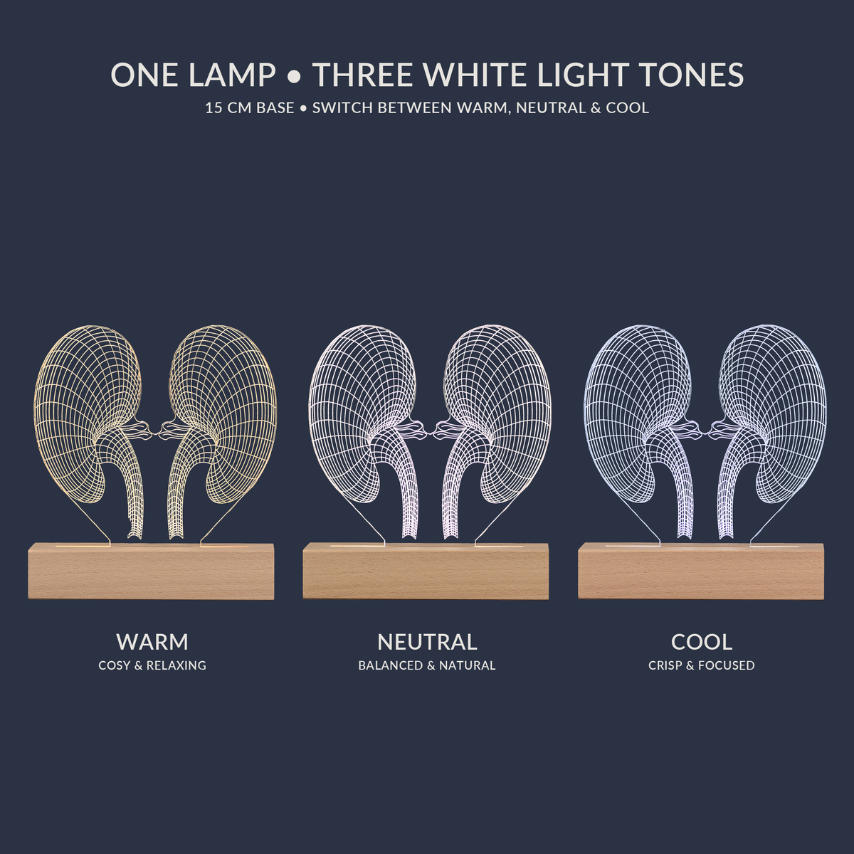 White light tone options for the Kidney LED lamp