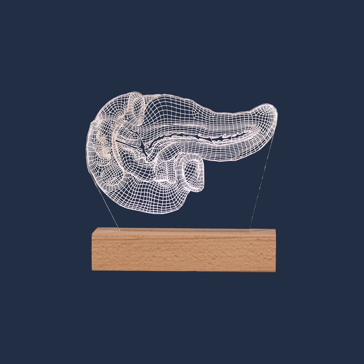 Pancreas LED lamp on a plain background