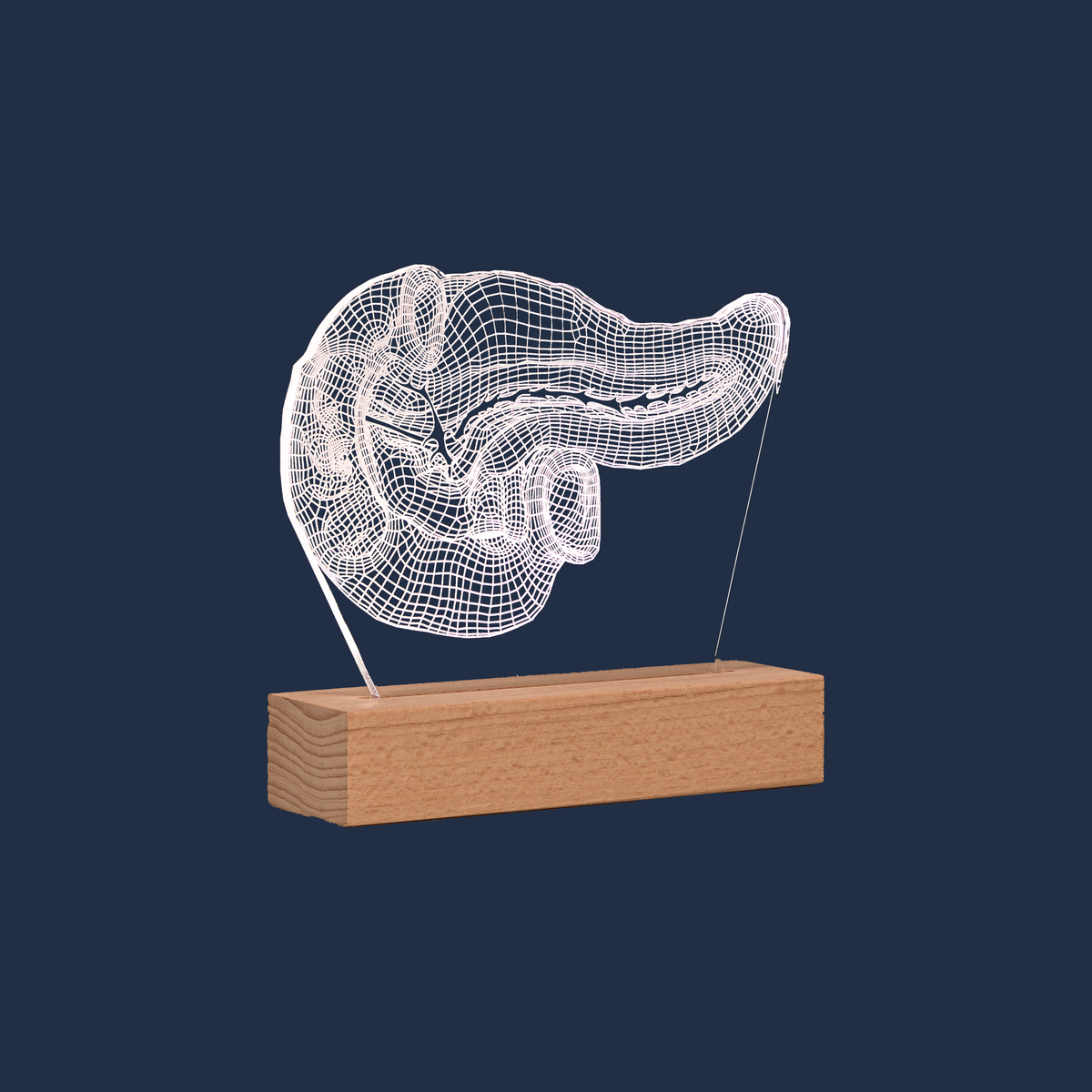 Side profile view of the Pancreas LED lamp