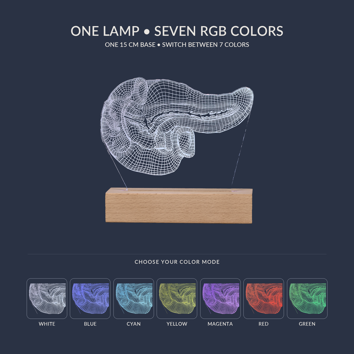 RGB color options for the Pancreas LED lamp
