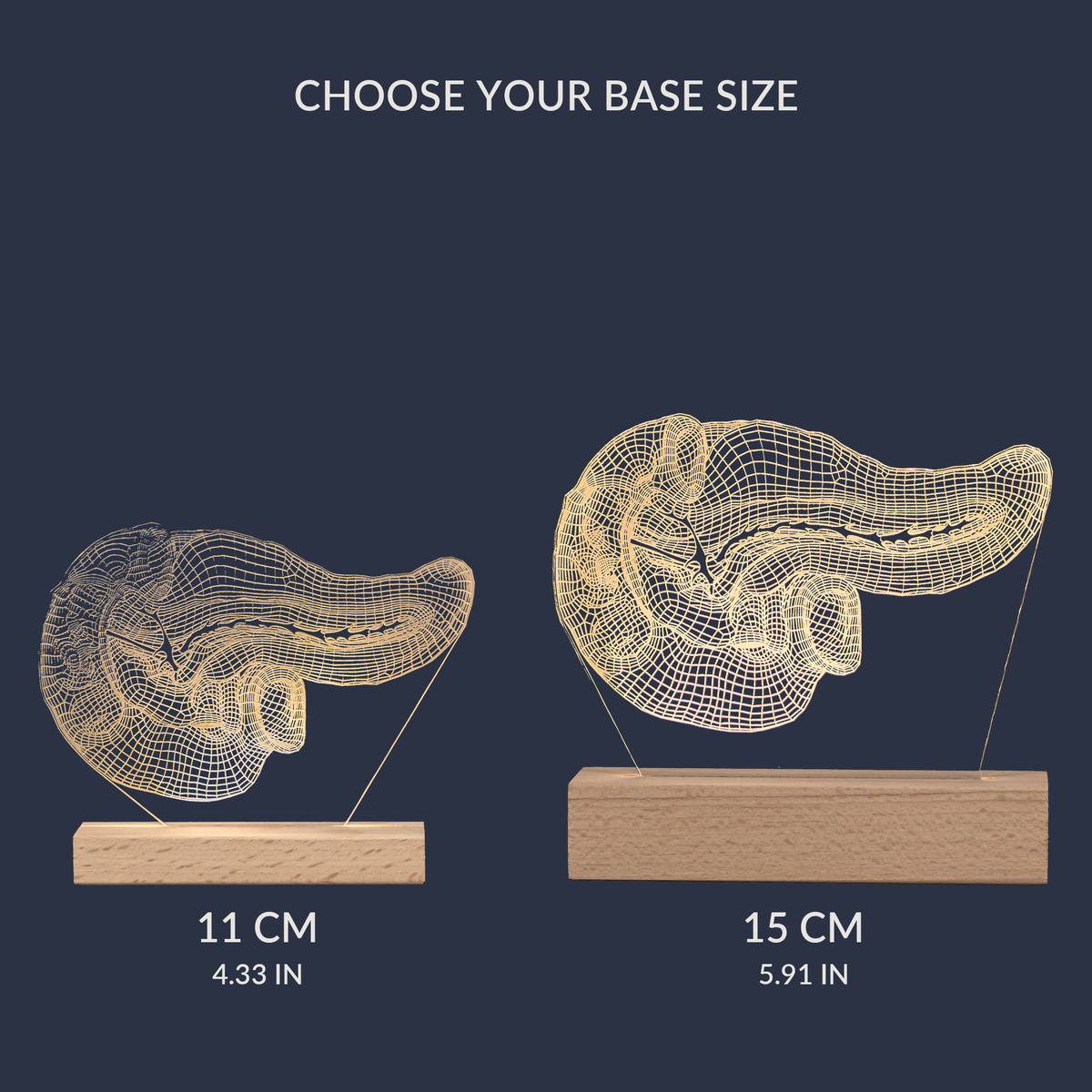 Size comparison chart for the Pancreas LED lamp