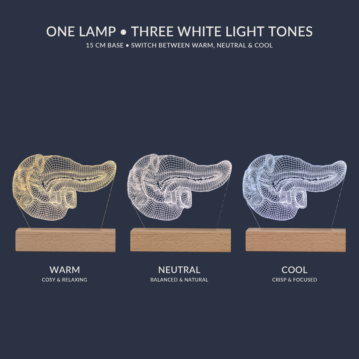 White light tone options for the Pancreas LED lamp