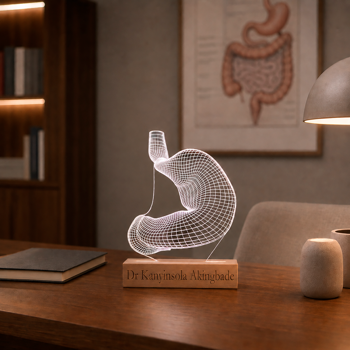 Stomach LED lamp displayed in a home office setting