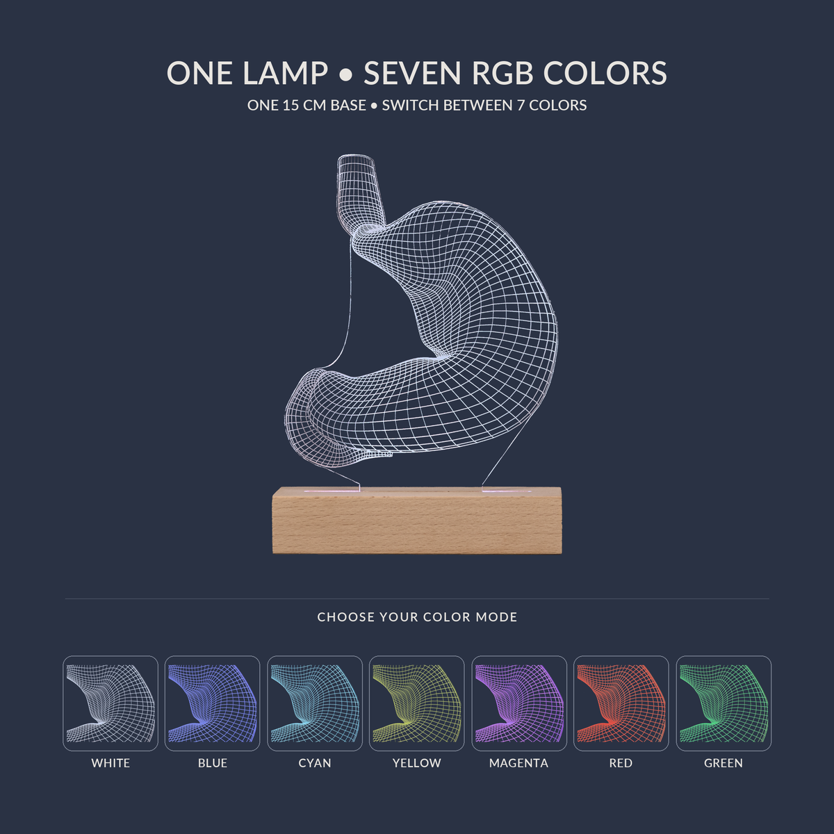 RGB color options for the Stomach LED lamp
