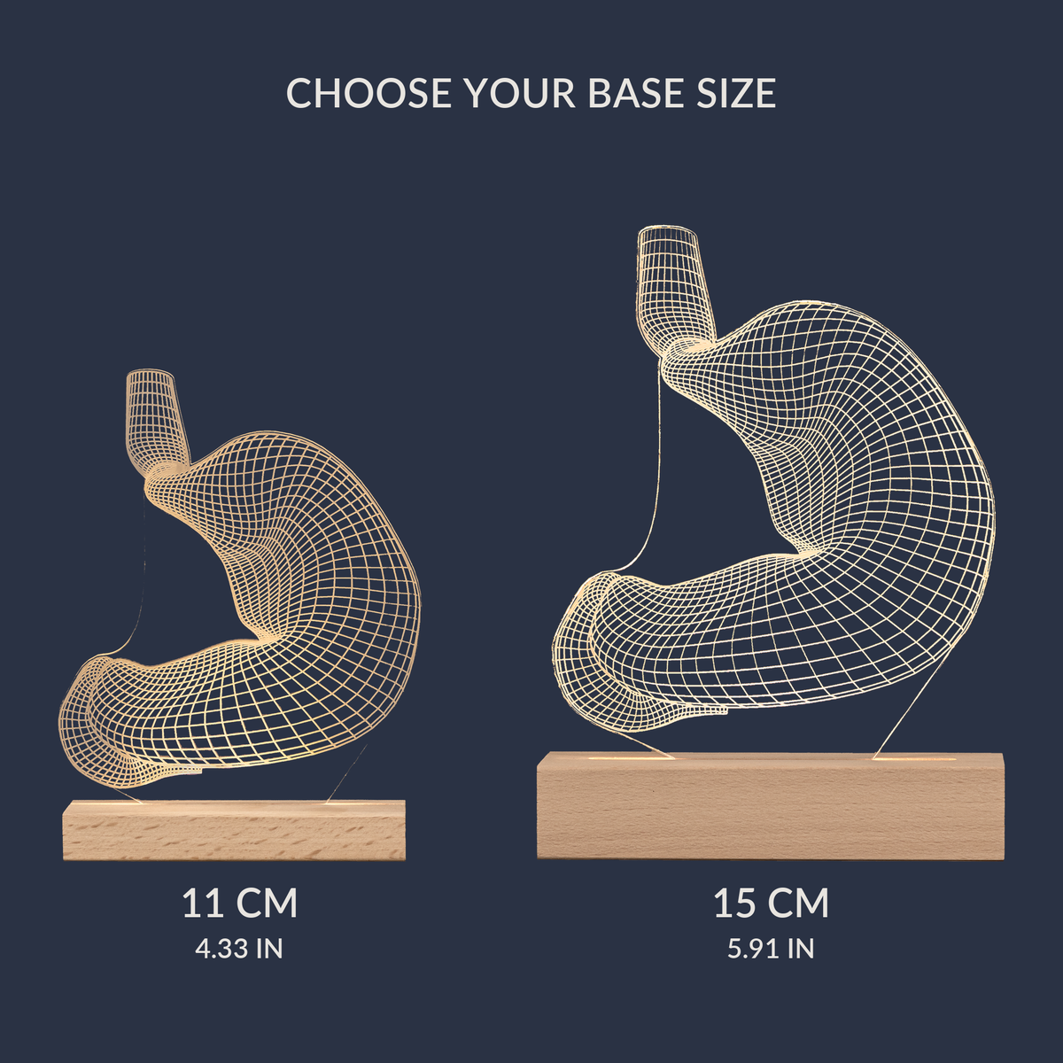 Size comparison chart for the Stomach LED lamp