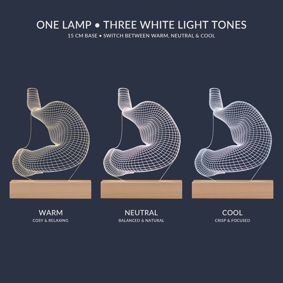 White light tone options for the Stomach LED lamp