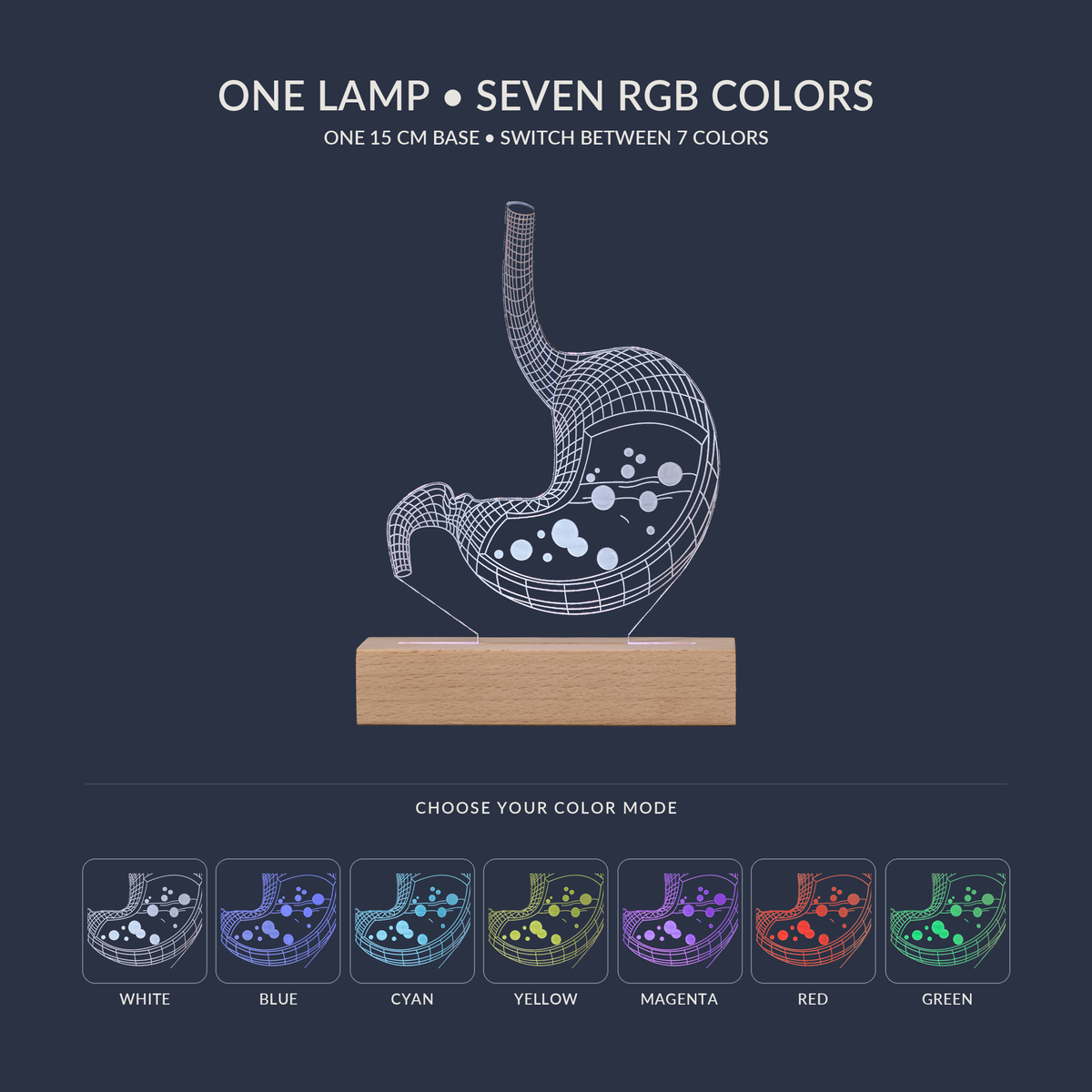 Opzioni di colori RGB per la Lampada LED Stomaco Personalizzata