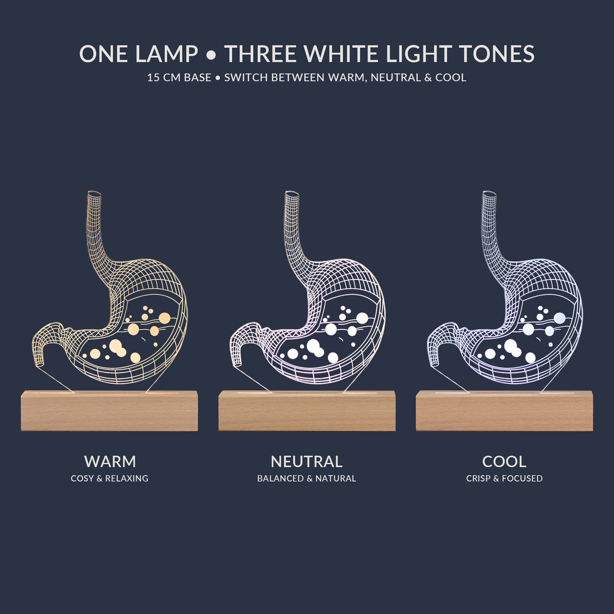 Opzioni di tonalità bianca per la Lampada LED Stomaco Personalizzata