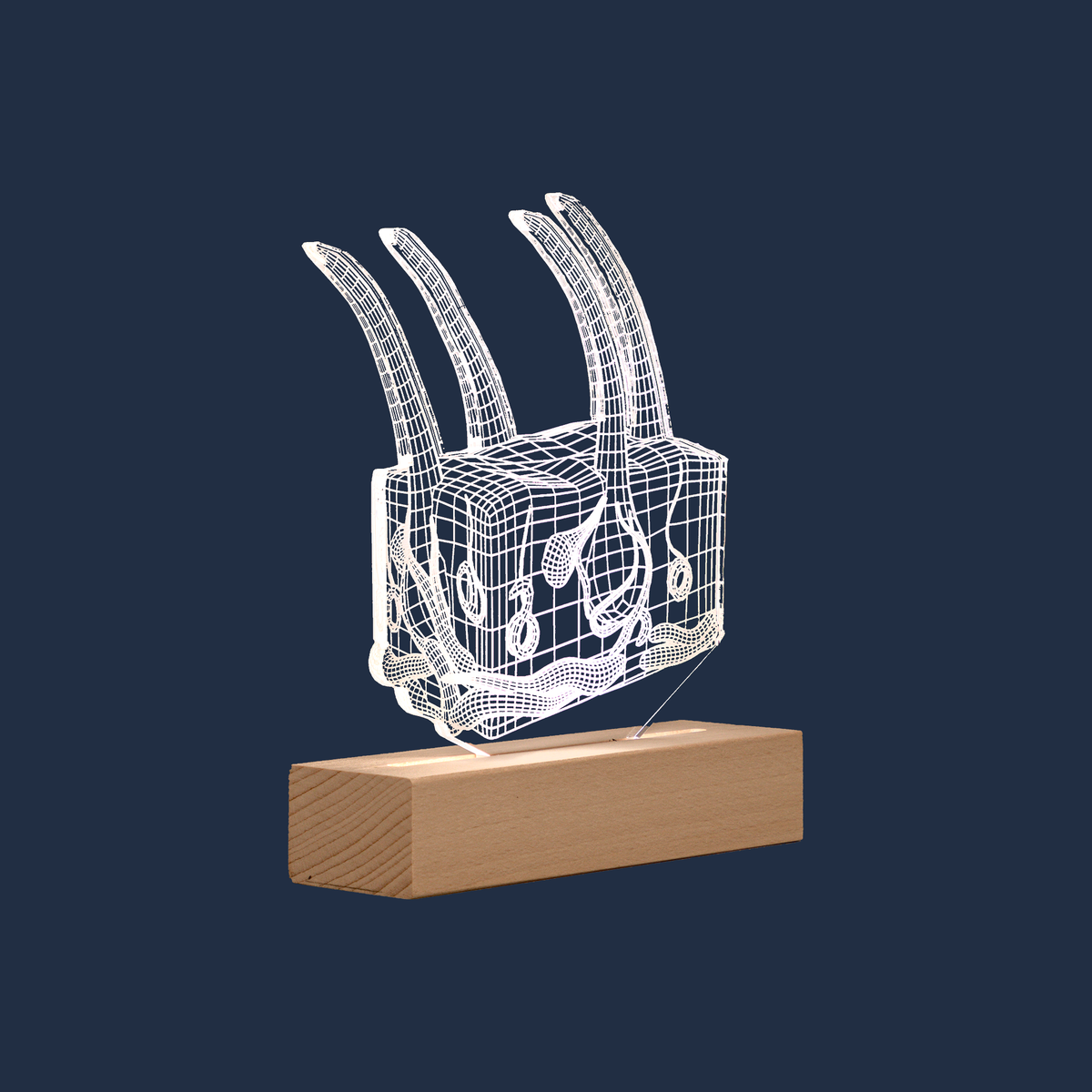 Seitenansicht der Hautanatomie-LED-Lampe