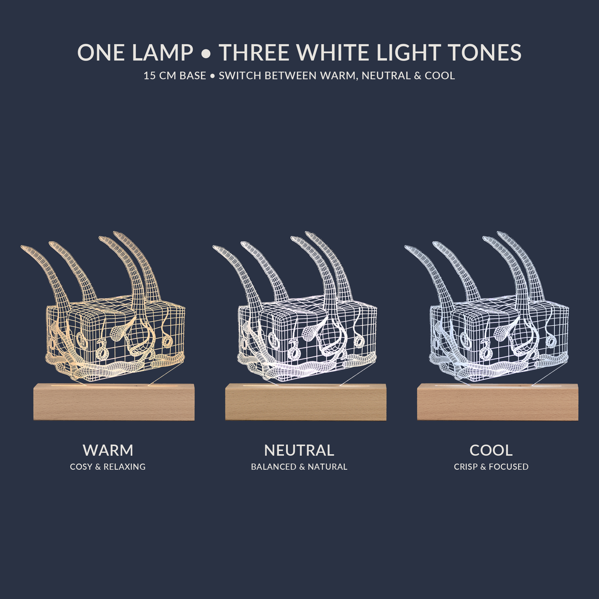 Weißton-Optionen für die Hautanatomie-LED-Lampe
