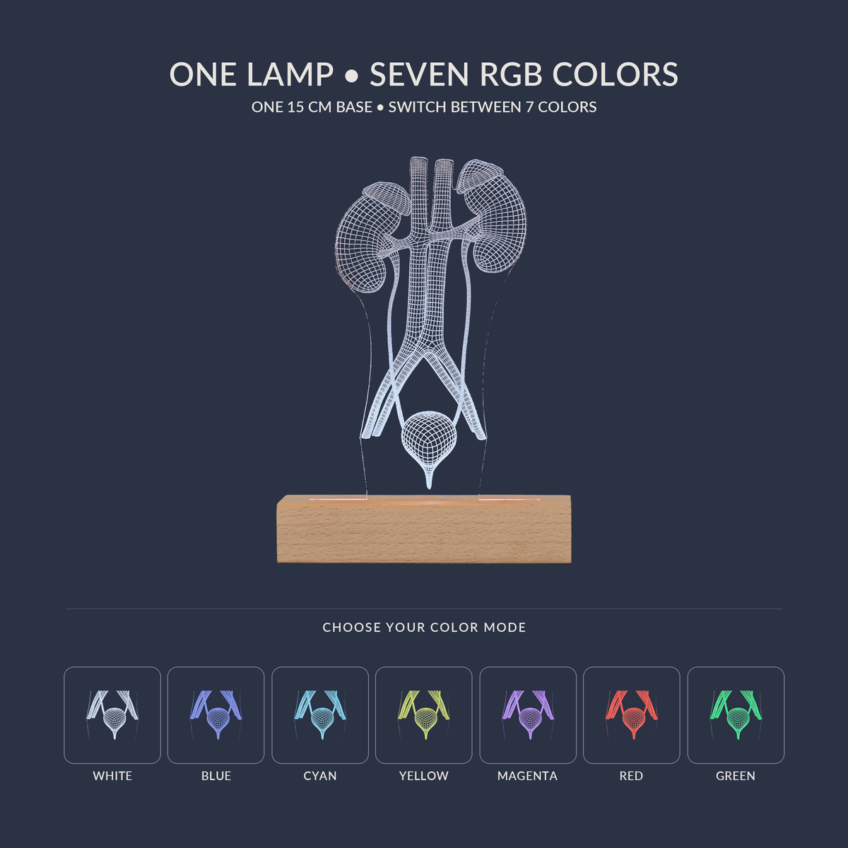 RGB color options for the Urinary System LED lamp
