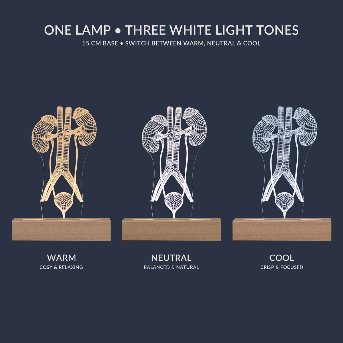 White light tone options for the Urinary System LED lamp
