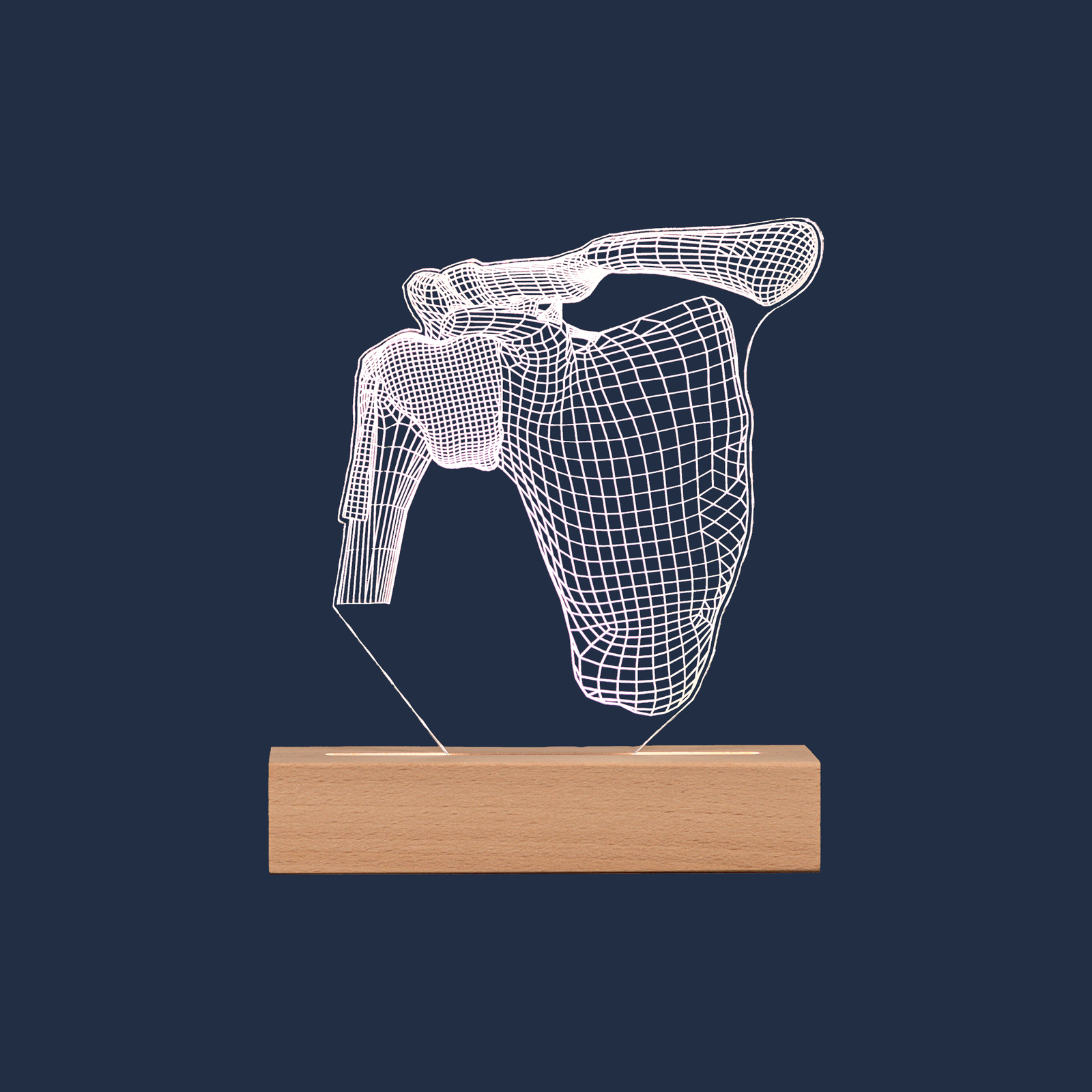 Lampe LED Articulation de l'Épaule sur fond neutre