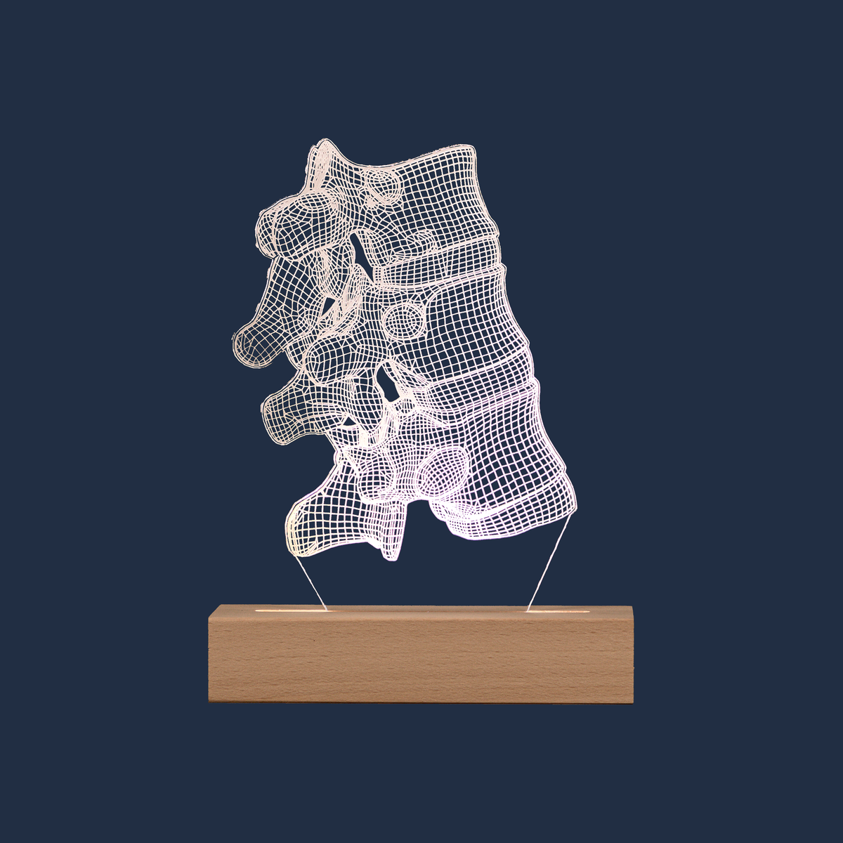 Vertebral Joint LED lamp on a plain background