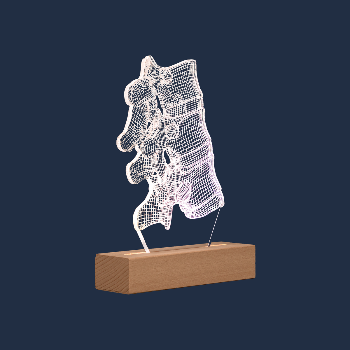 Side profile view of the Vertebral Joint LED lamp