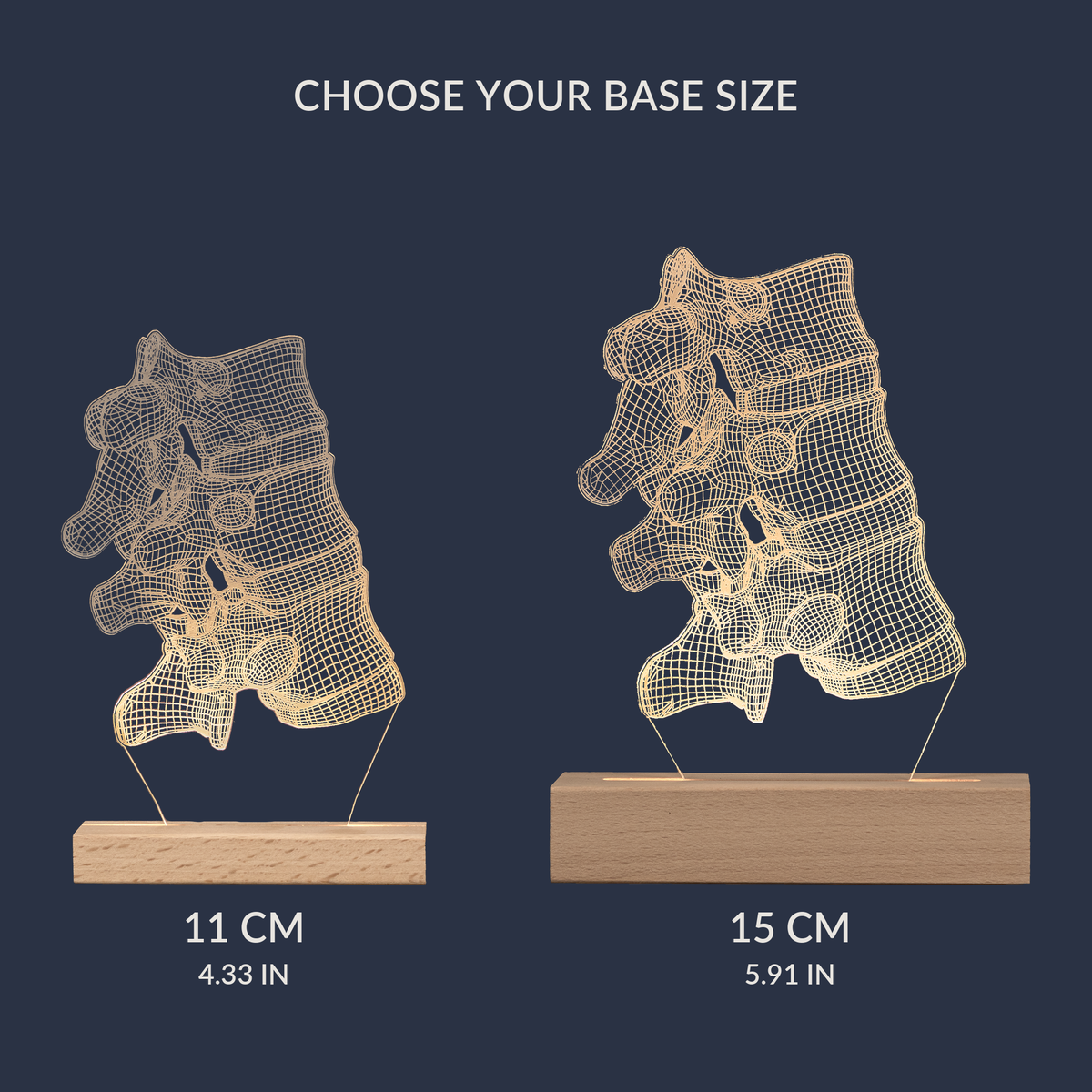 Size comparison chart for the Vertebral Joint LED lamp