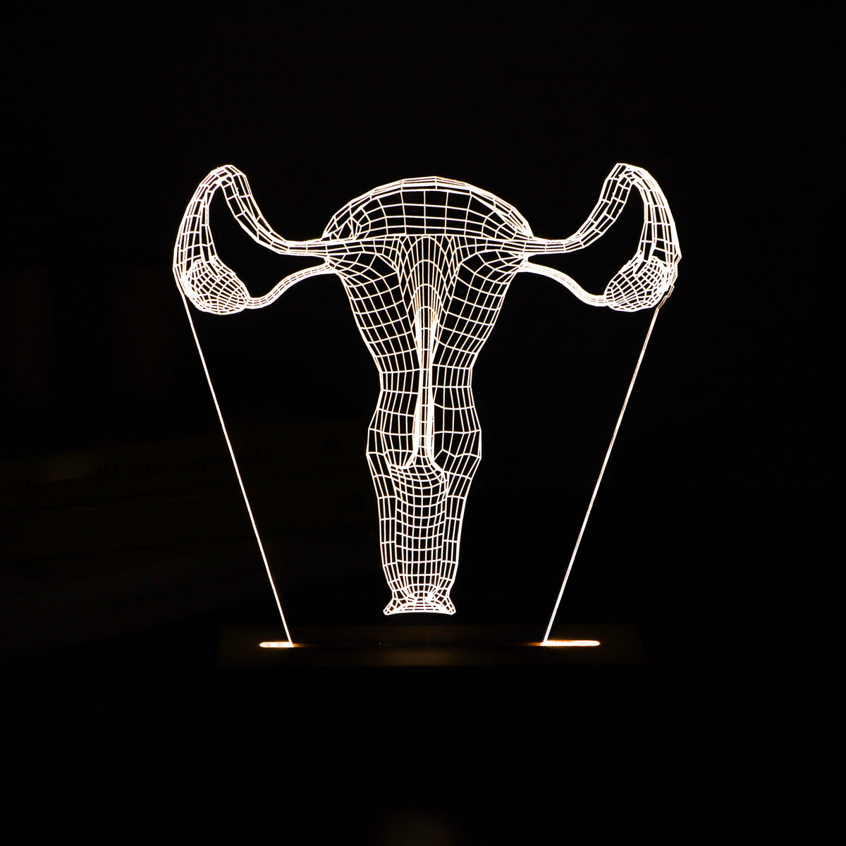 3D illusion lamp featuring a detailed female reproductive system anatomy design in a wireframe style, illuminated in a white tone, with customizable text, perfect as a unique gift for gynecologists or OB-GYN professionals.