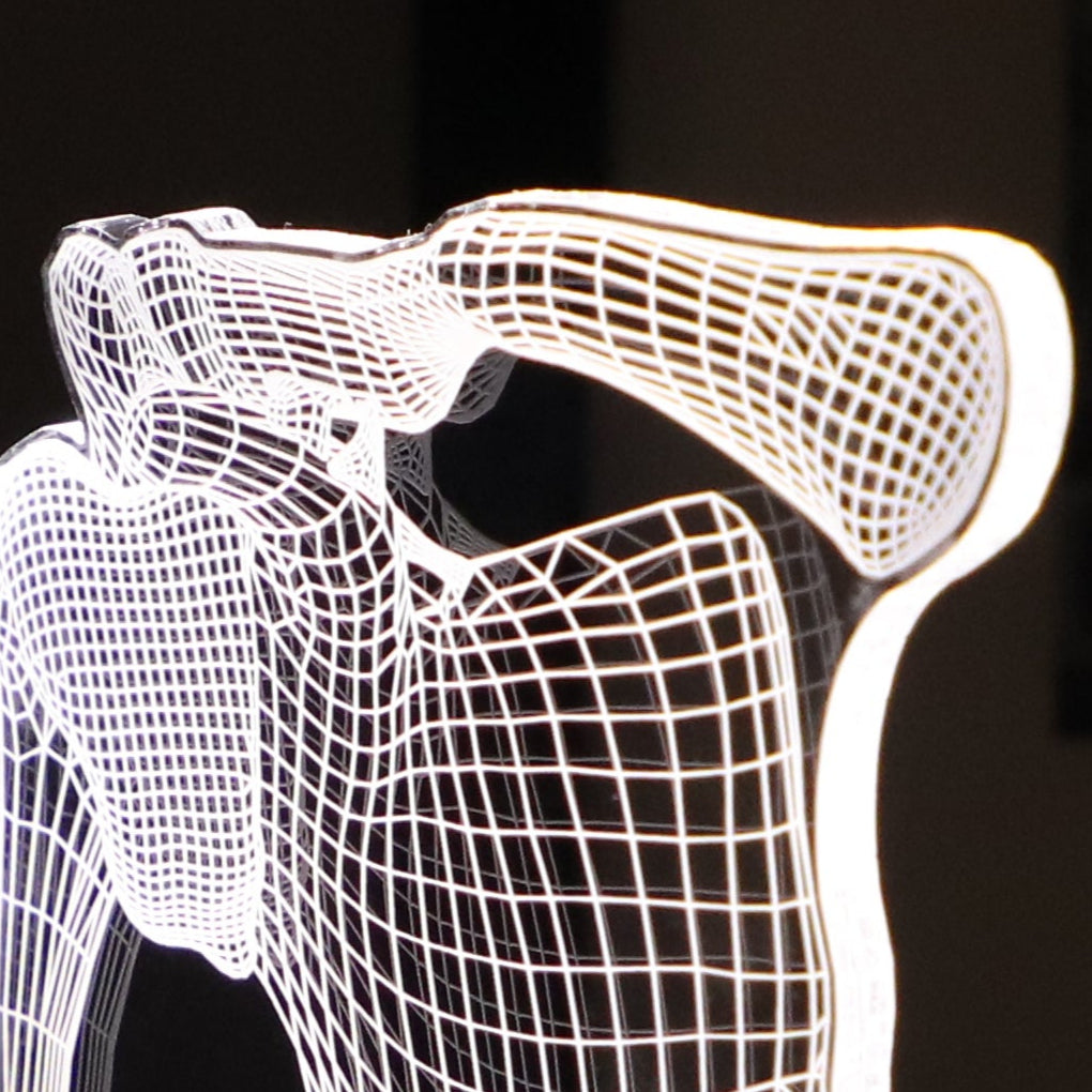 3D illusion lamp featuring a detailed human shoulder anatomy design, illuminated in a white tone, perfect as a unique and thoughtful gift for orthopedic specialists, physiotherapists, or medical professionals focusing on shoulder health.