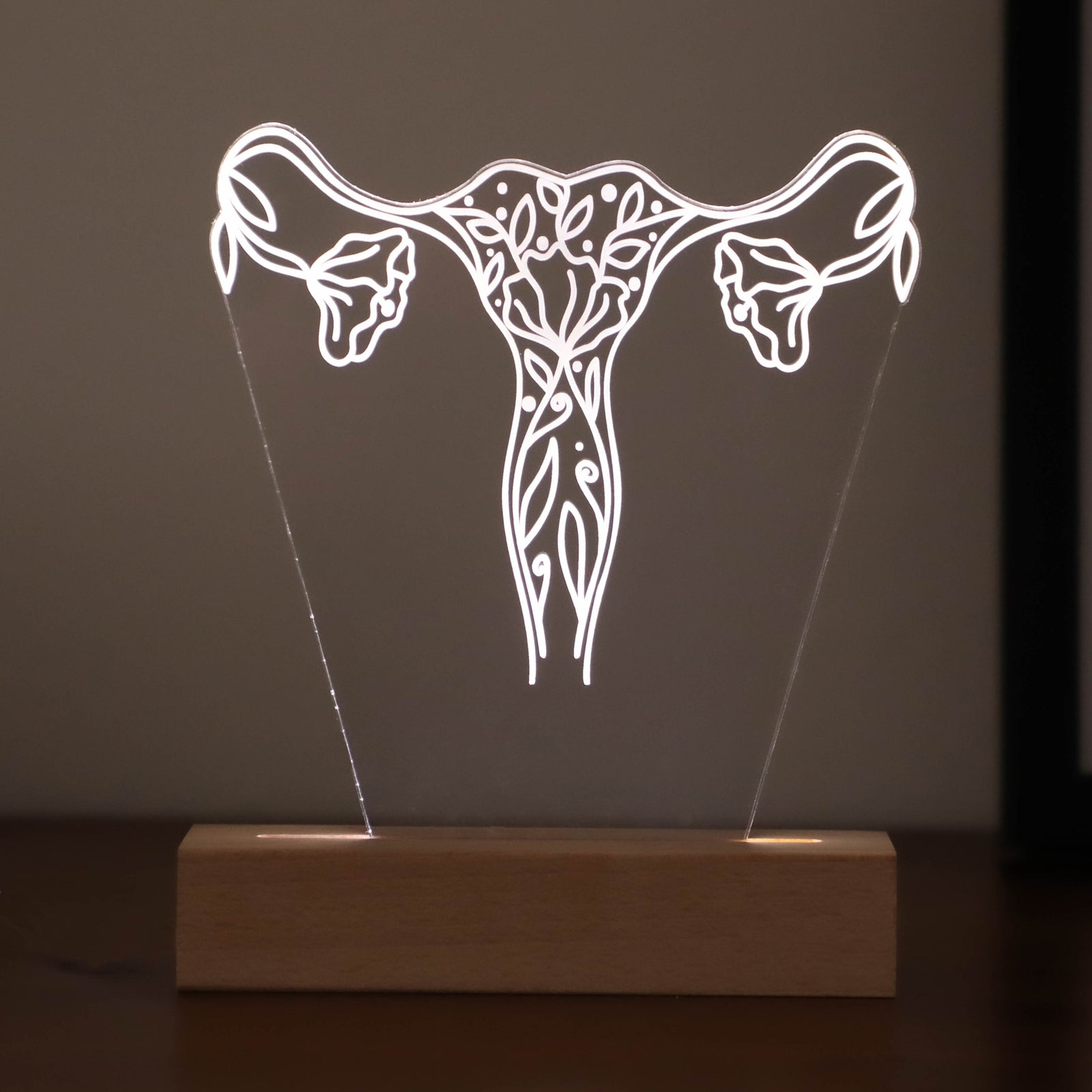 3D illusion lamp featuring a detailed female reproductive system design with elegant floral accents, illuminated in a white tone, perfect as a unique and thoughtful gift for gynecologists or OB-GYN professionals.