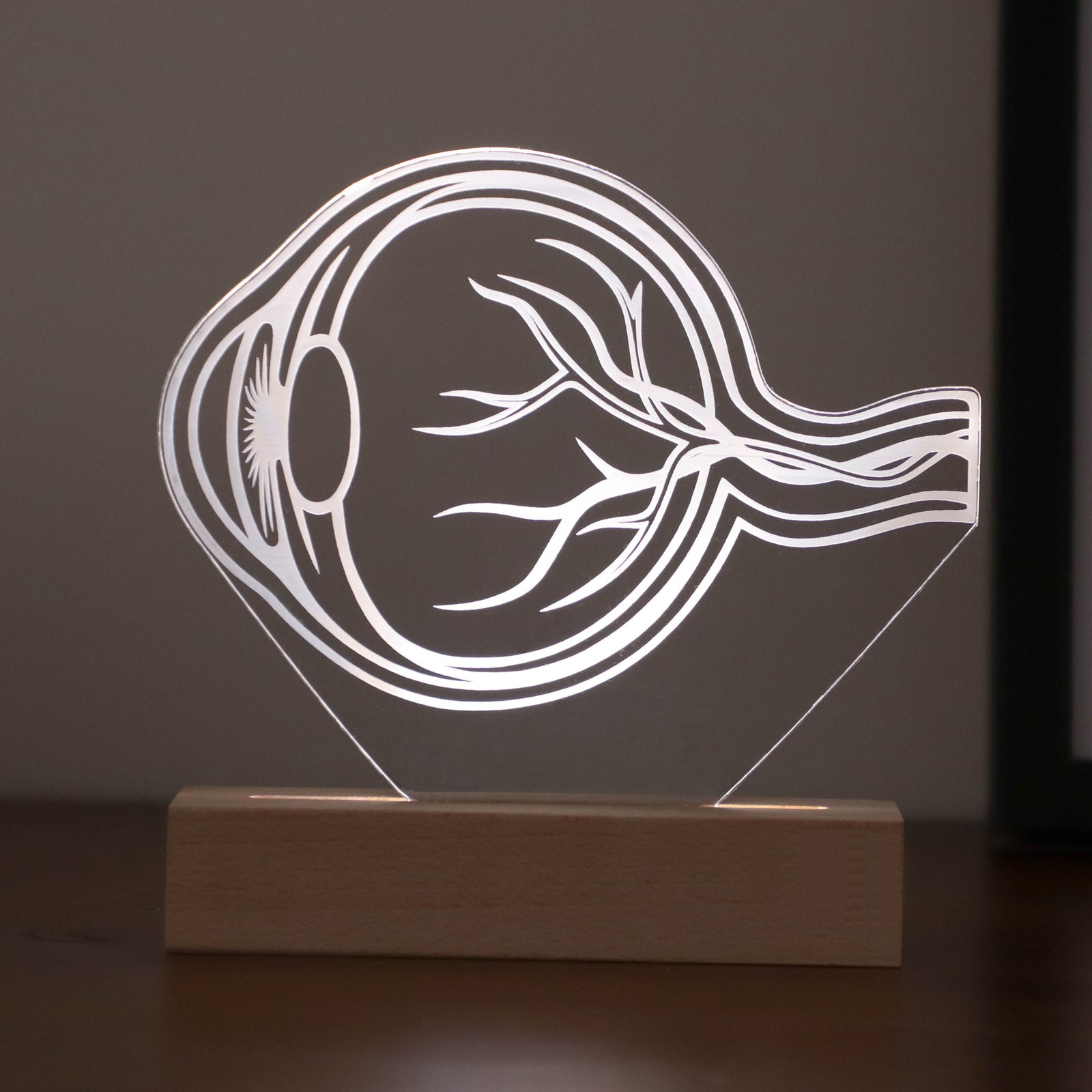 LED lamp featuring a detailed human eye anatomy design, illuminated in a white tone, perfect as a unique gift for ophthalmologists or eye care professionals.