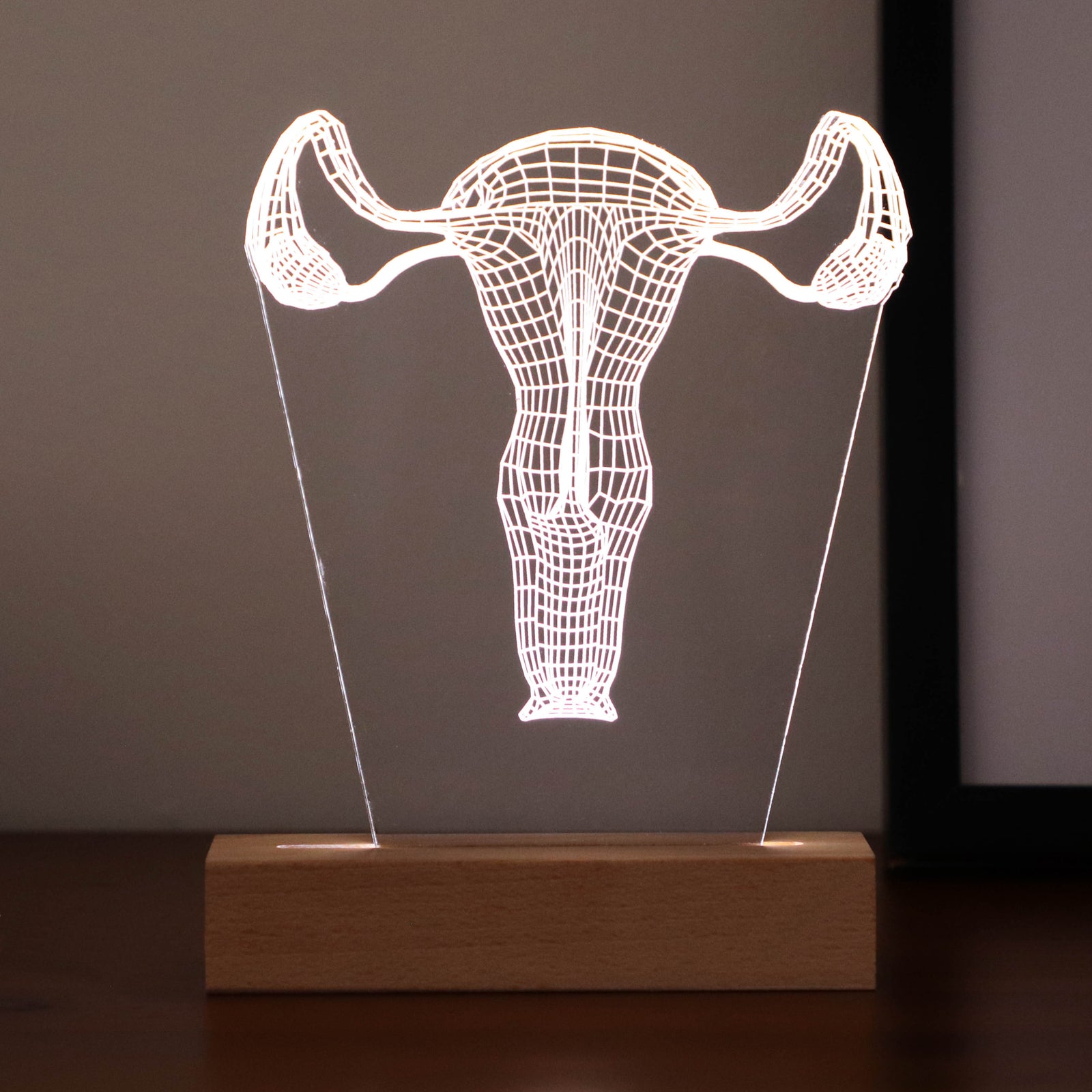 3D illusion lamp featuring a detailed female reproductive system anatomy design in a wireframe style, illuminated in a white tone, with customizable text, perfect as a unique gift for gynecologists or OB-GYN professionals.