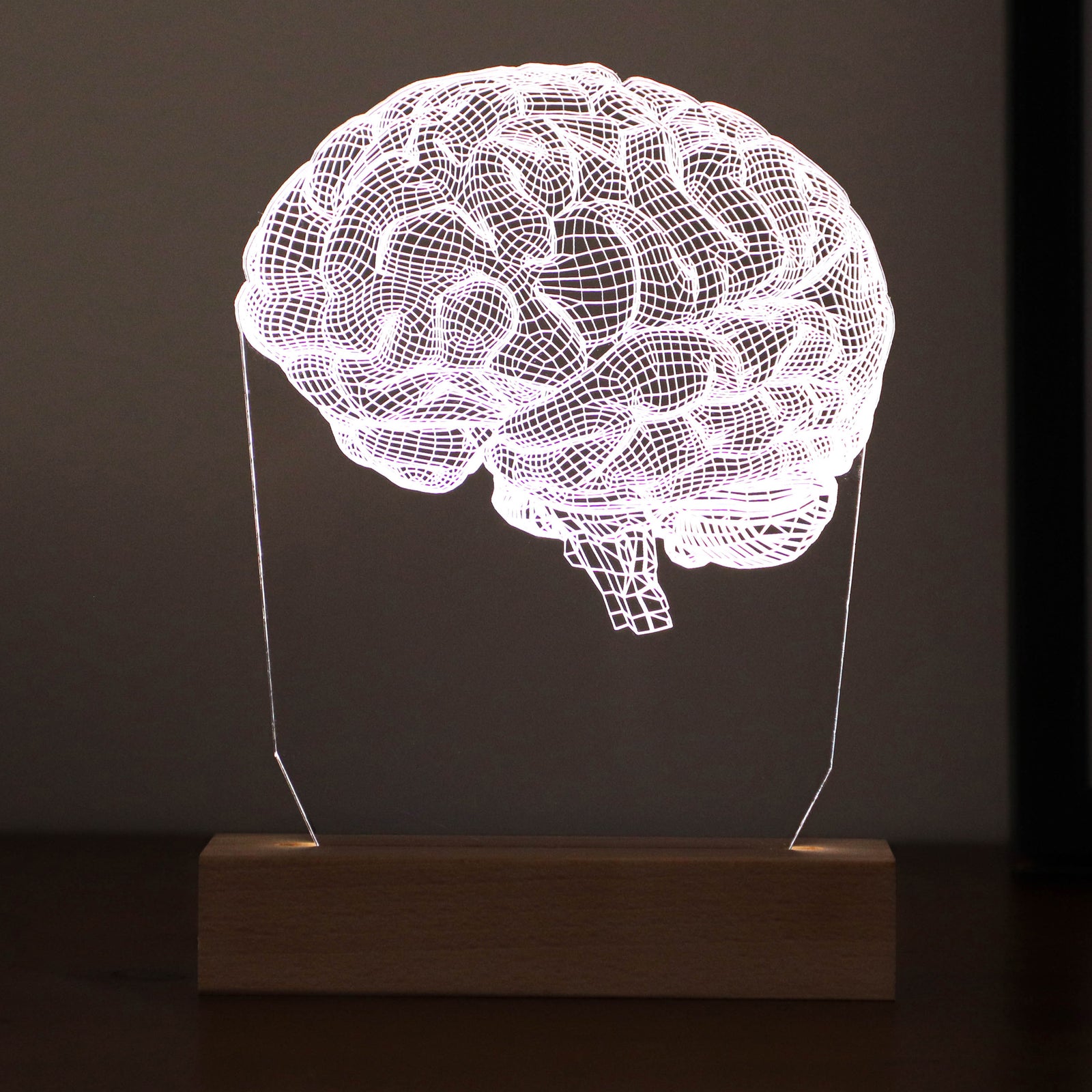 Personalized 3D illusion lamp featuring a detailed brain anatomy design, illuminated in a white tone,  perfect as a unique gift for mental health professionals.